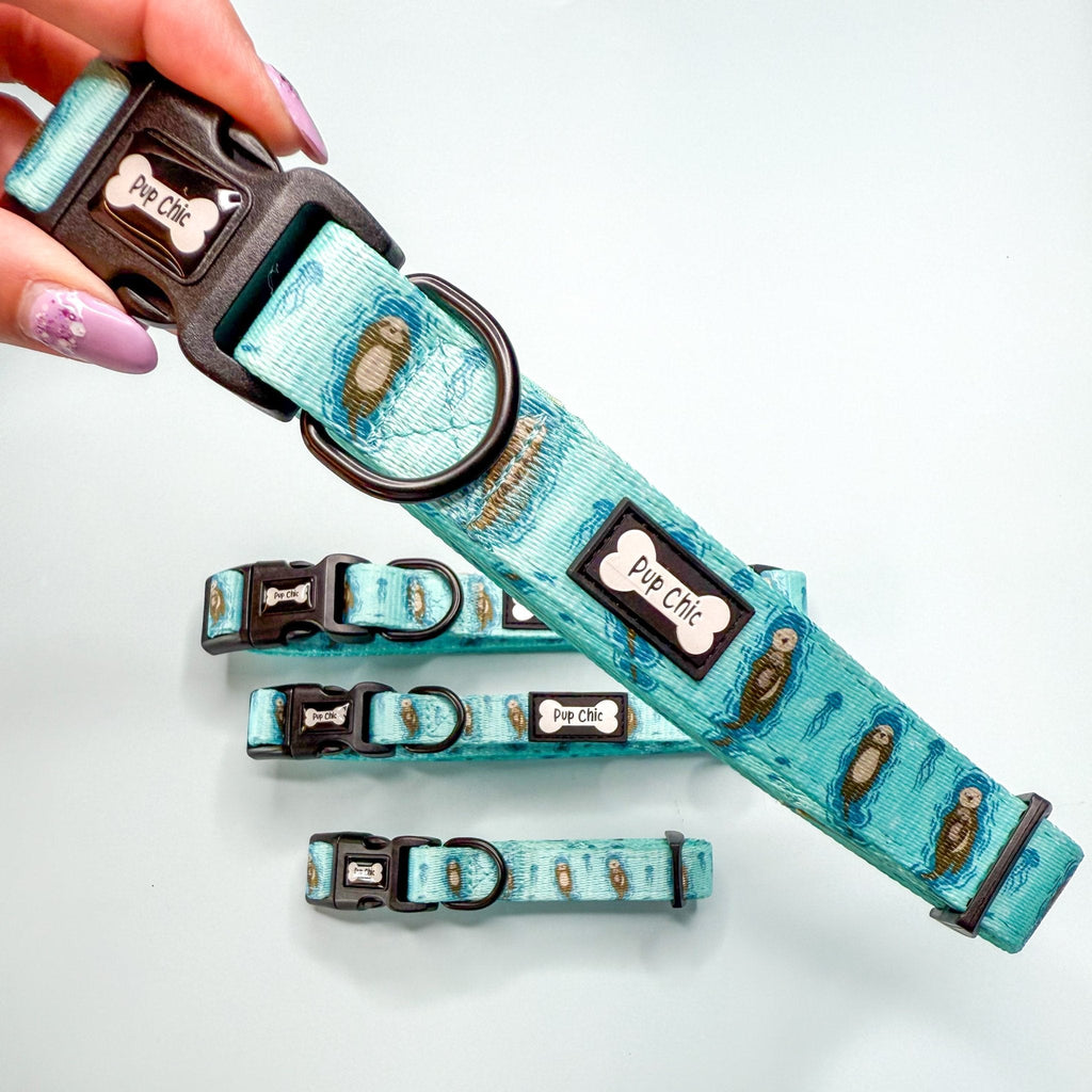 Otterly Lovely Dog Collar