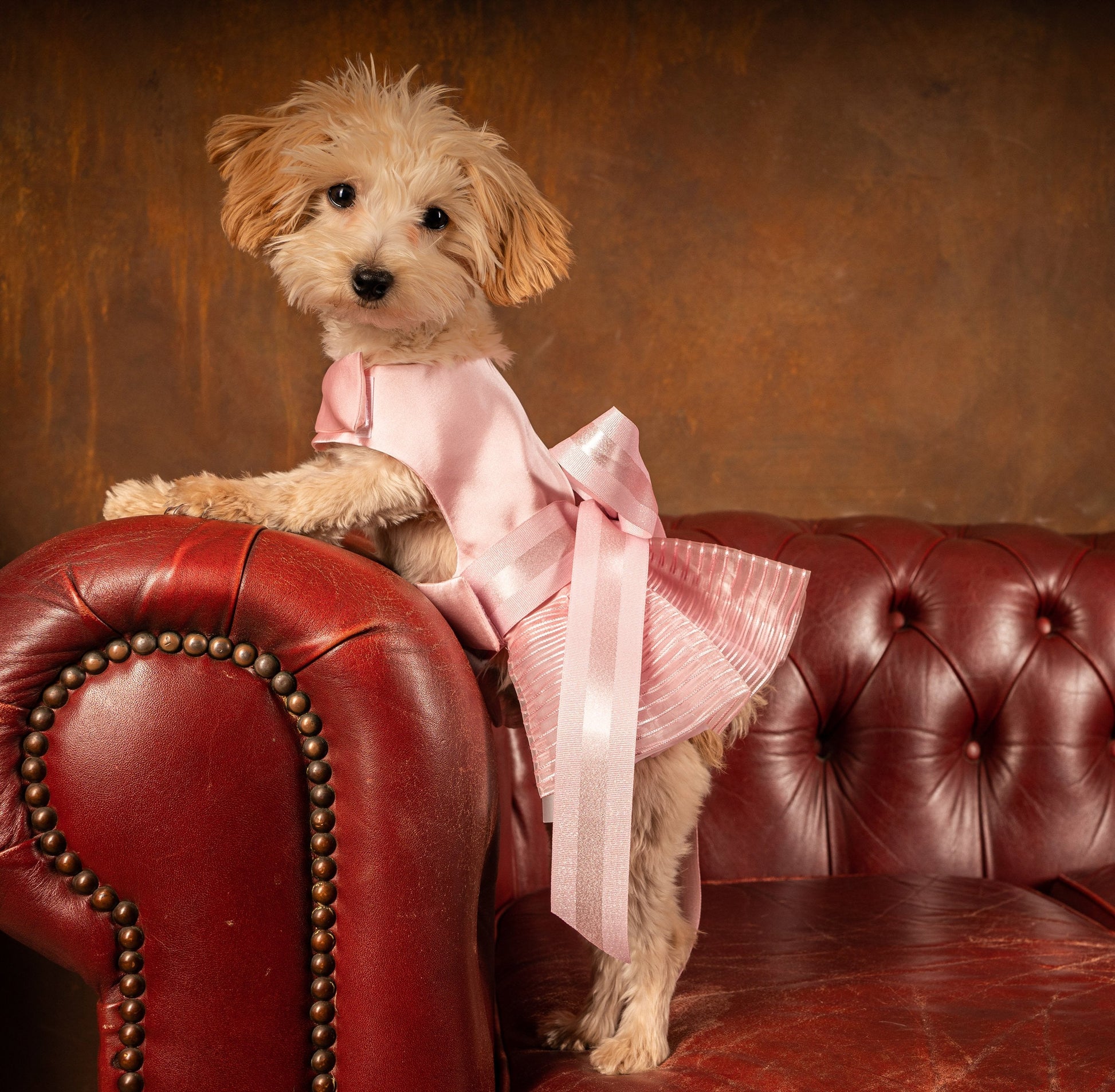 Bowknot Dress with Pleated Hem