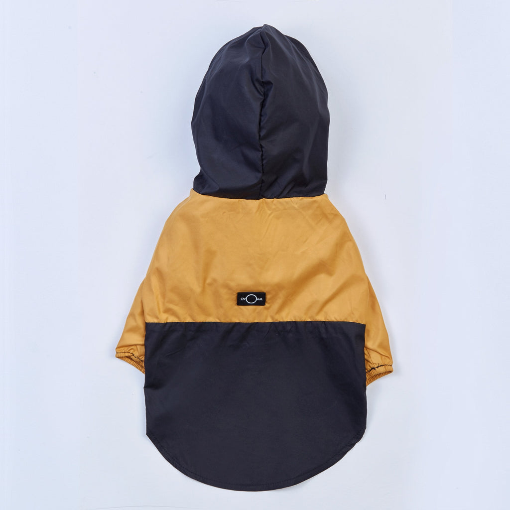 Contrast Thin Coat in Black and Yellow