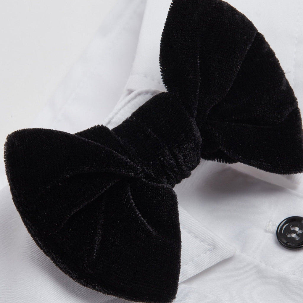 White Formal Collar with Bow Tie