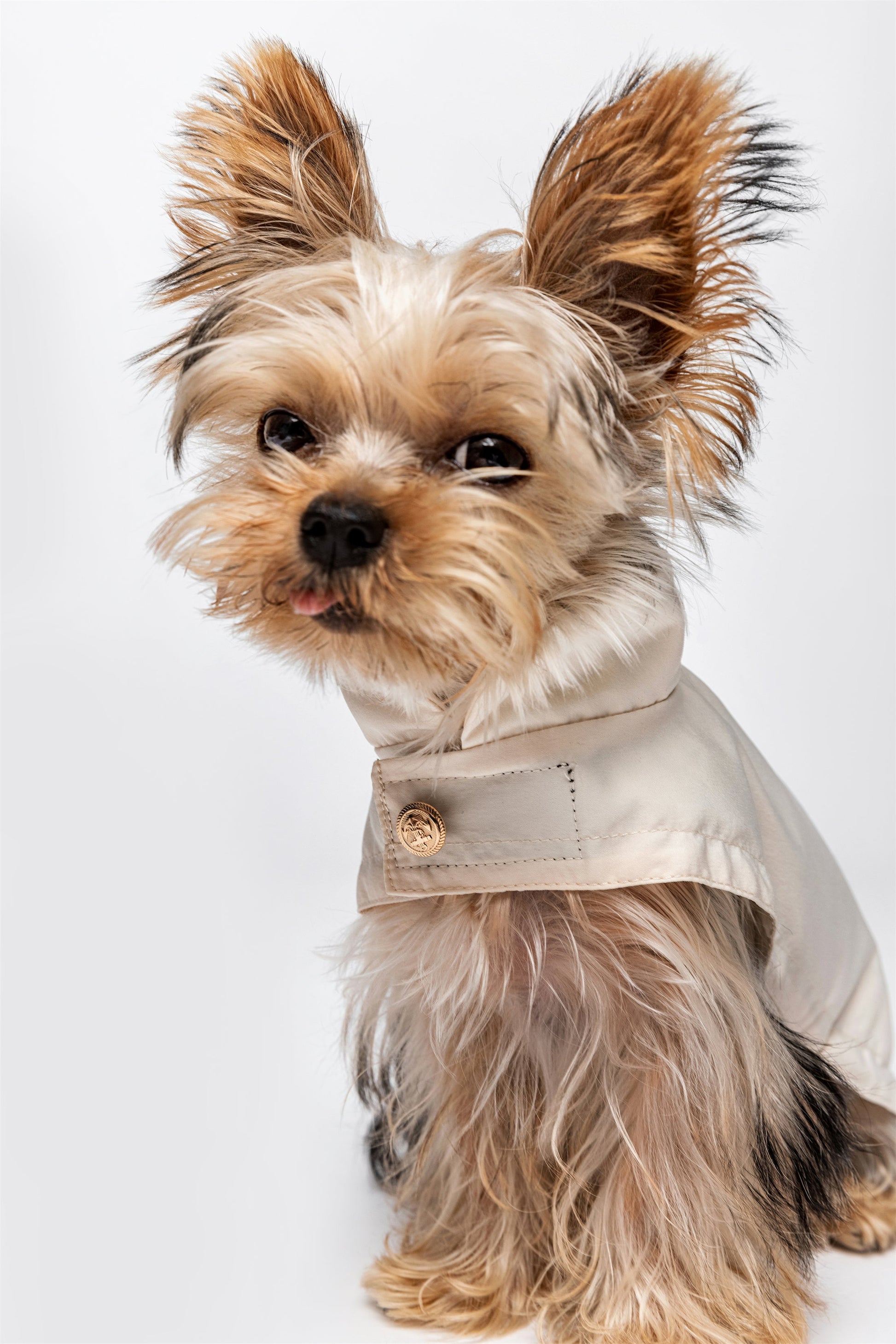 Adjustable Thin Coat with Golden Button