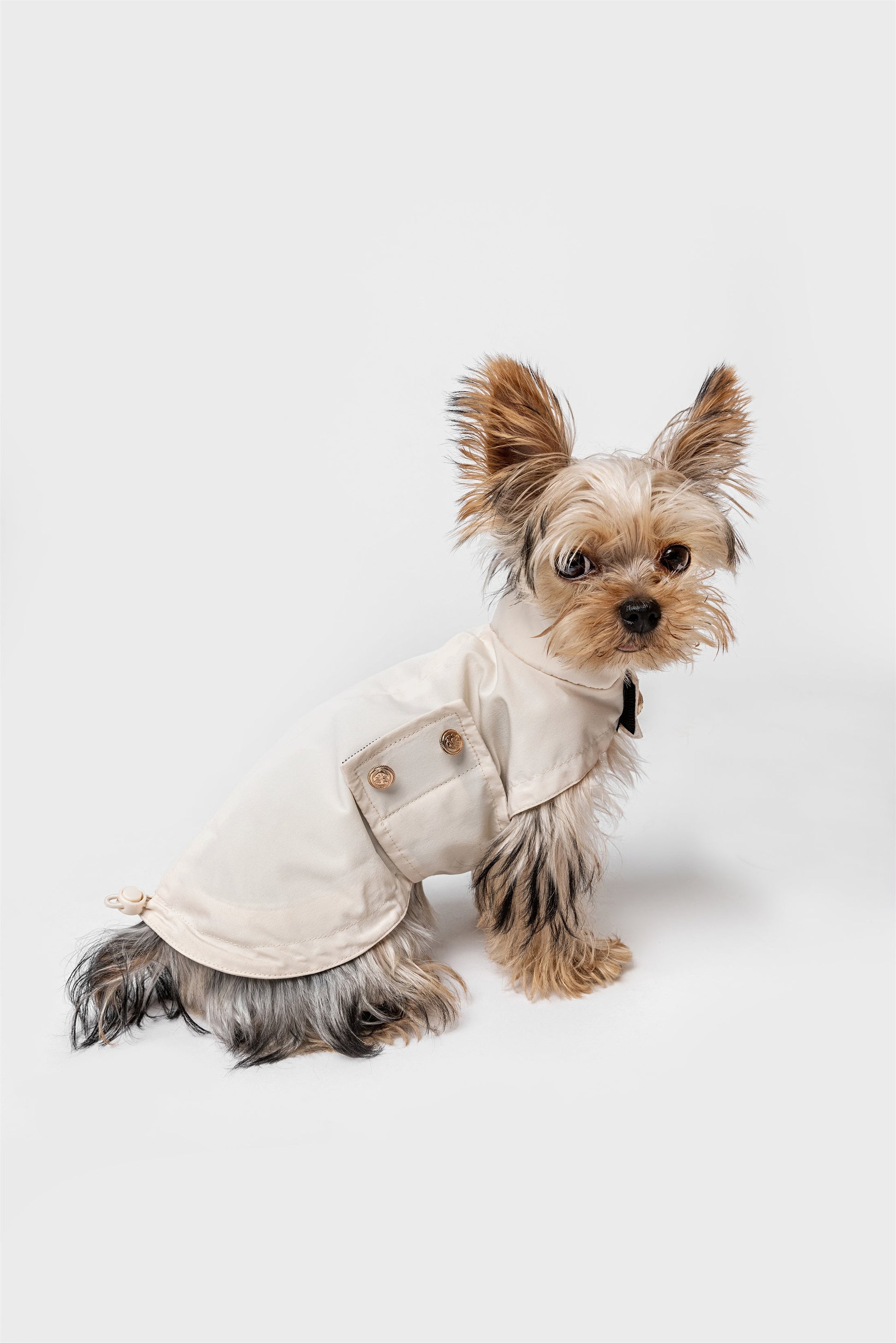 Adjustable Thin Coat with Golden Button