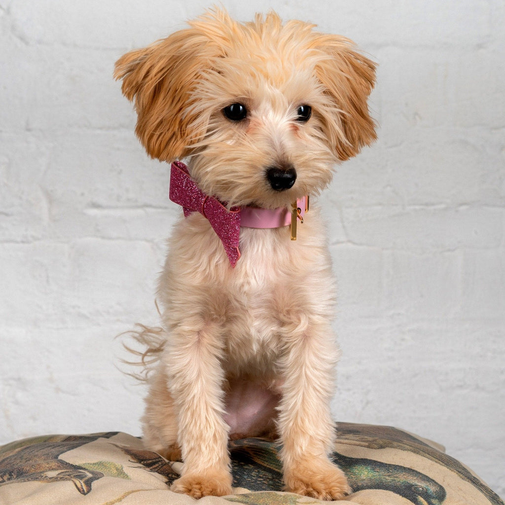 Pink Bowknot Collar for Pets