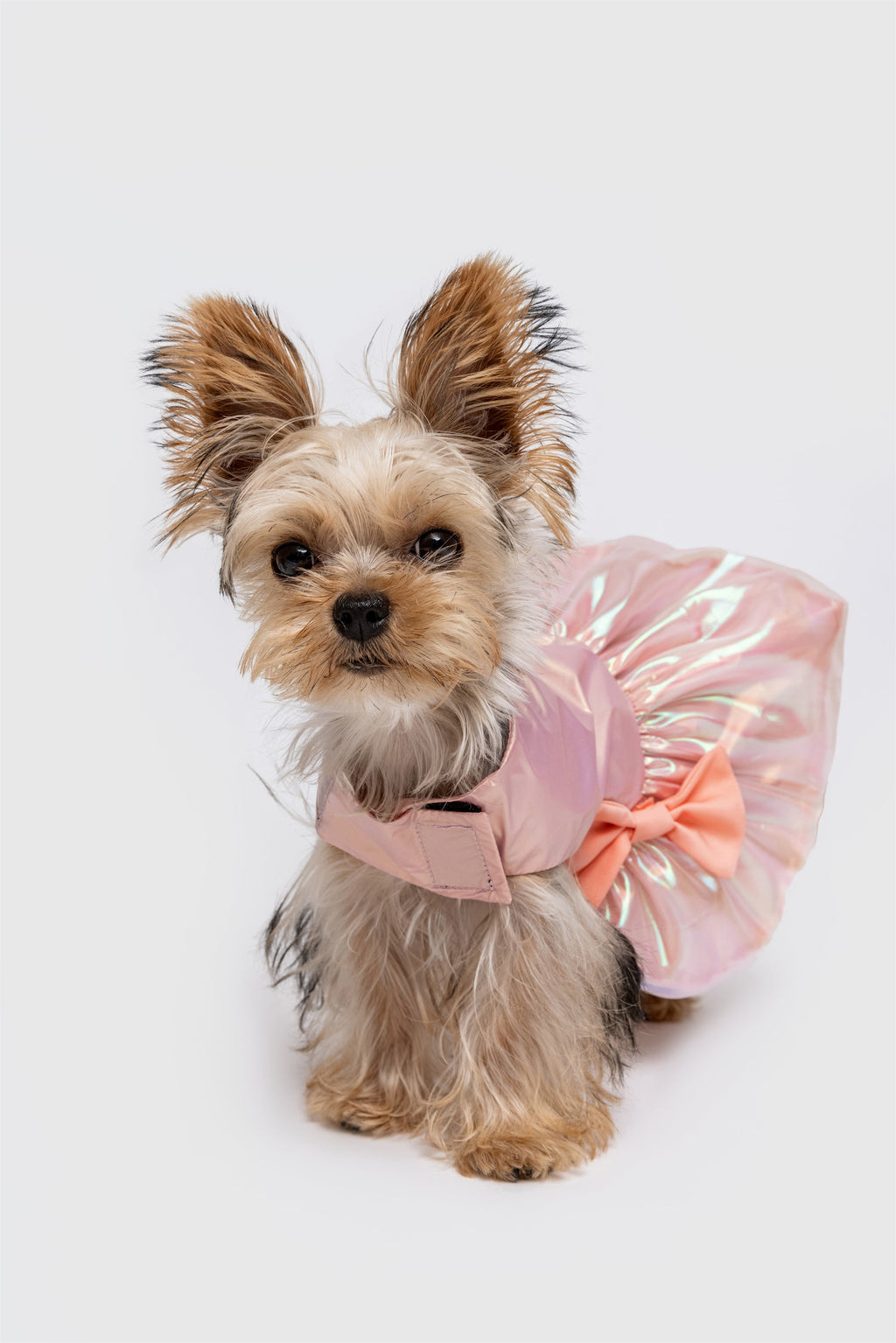 Bowknot Glossy Summer Dress