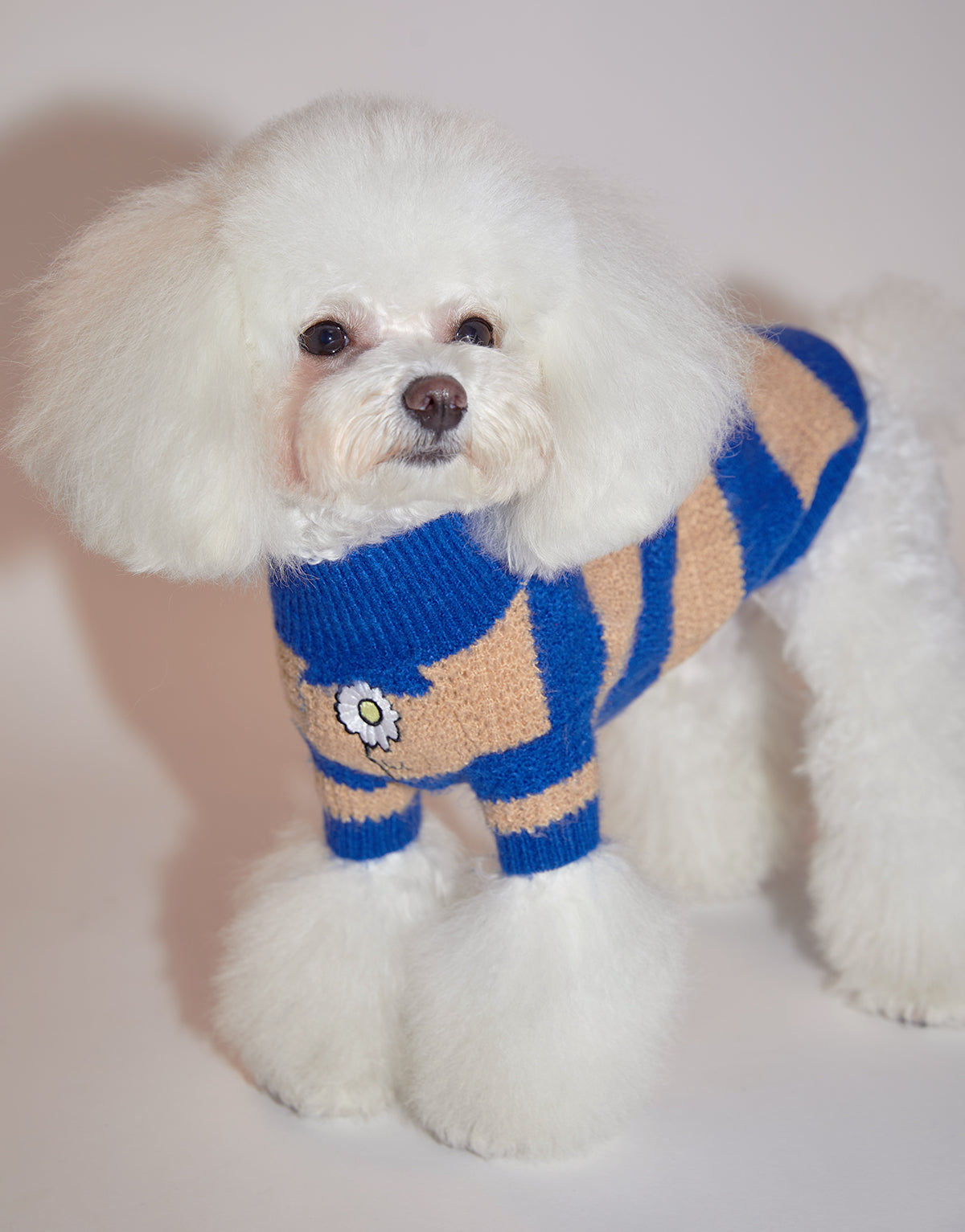Contrast Striped Sweater in Blue and Apricot
