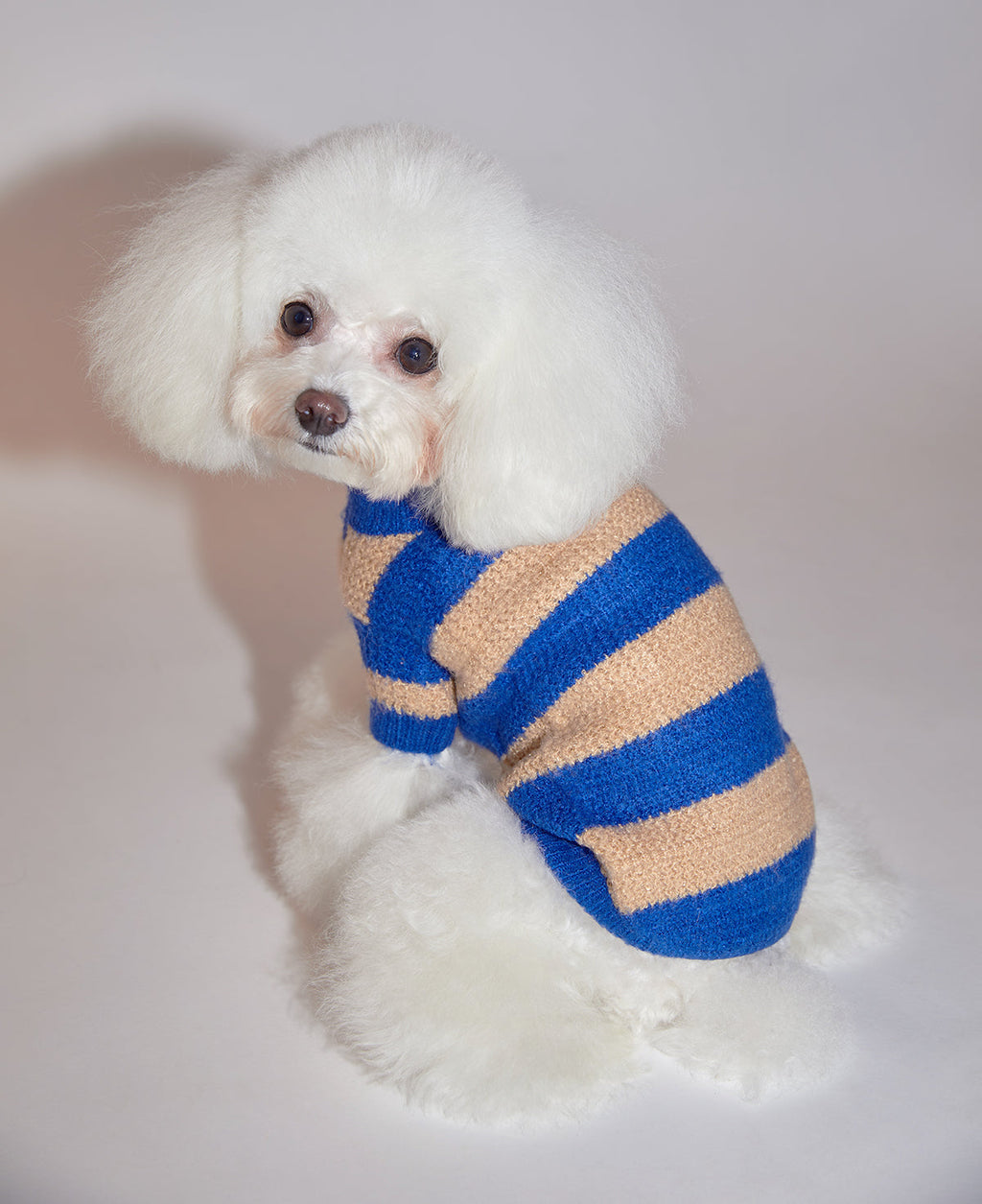 Contrast Striped Sweater in Blue and Apricot