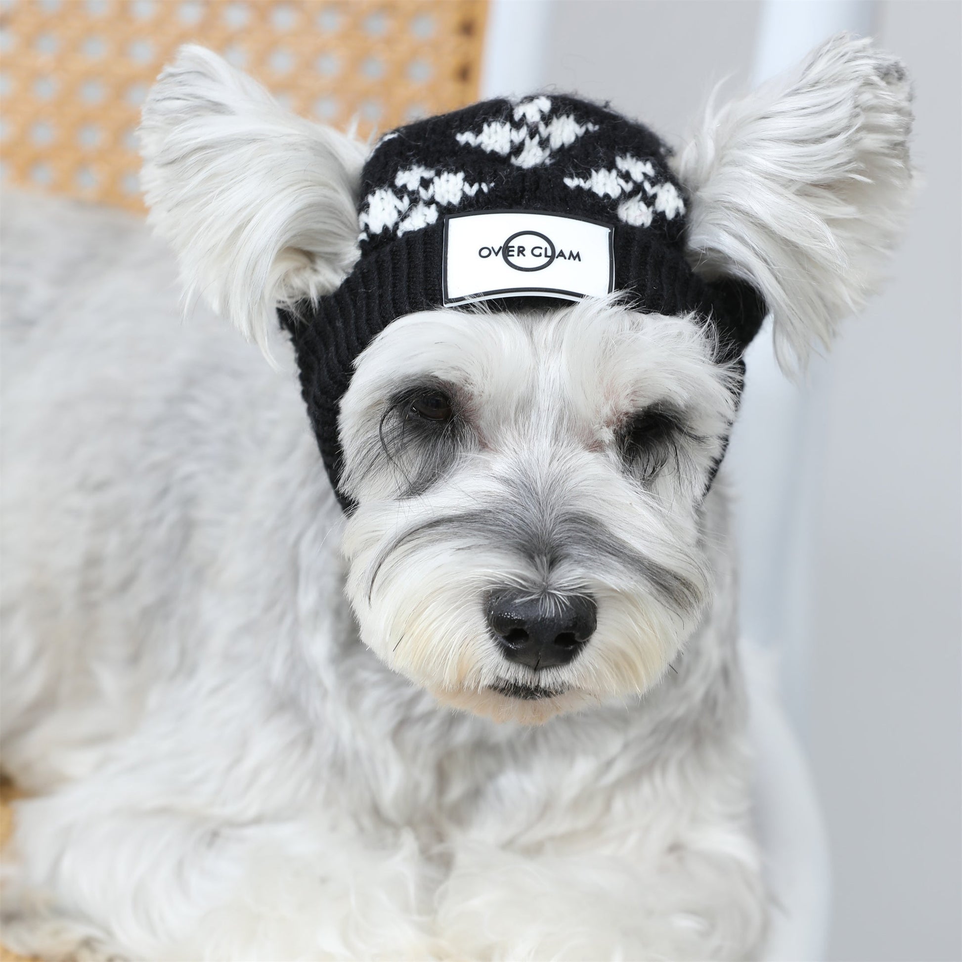 Floral Jacquard Woolen Hat for Pets