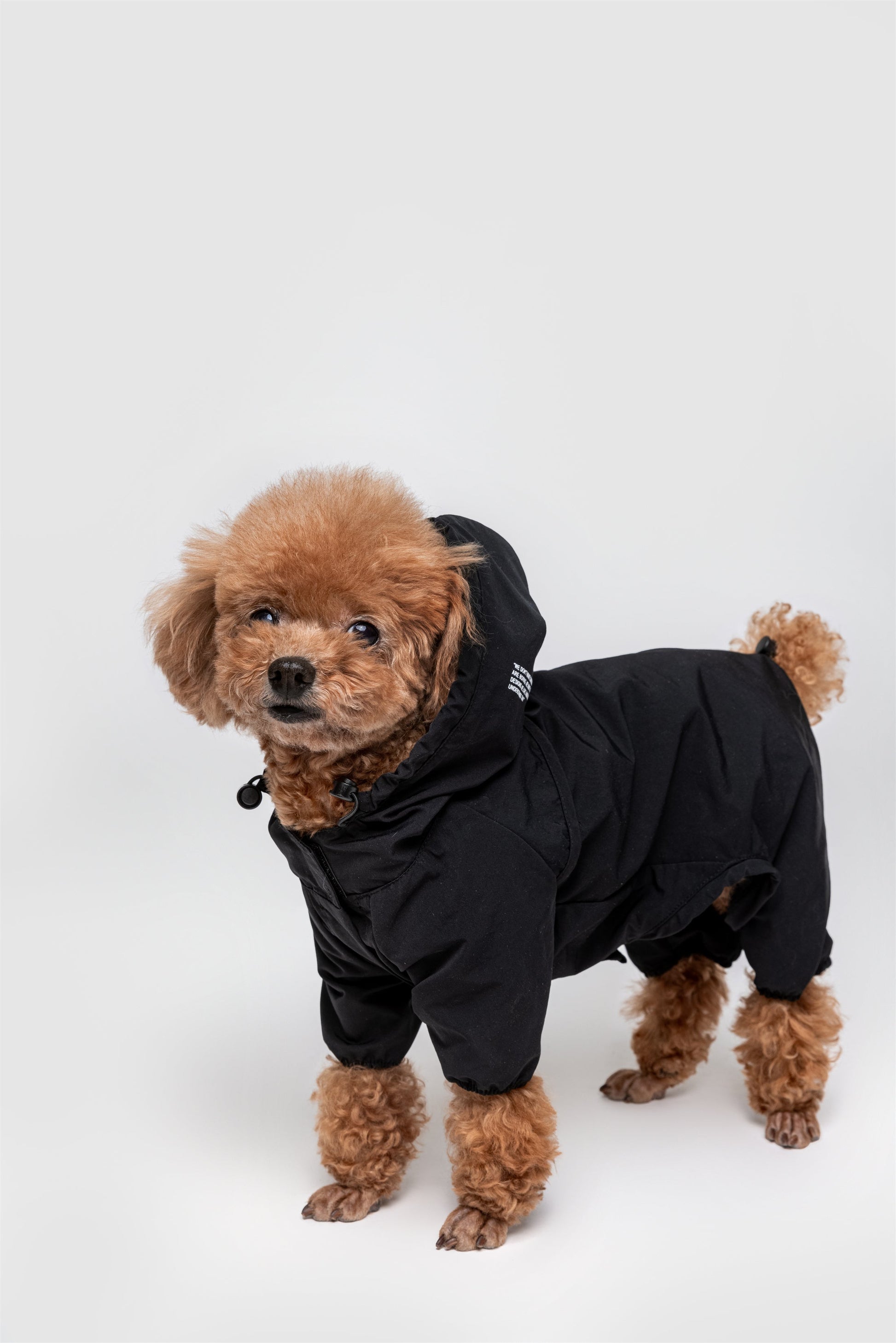 Waterproof Dog Coat with Hood and Four Leg Fit