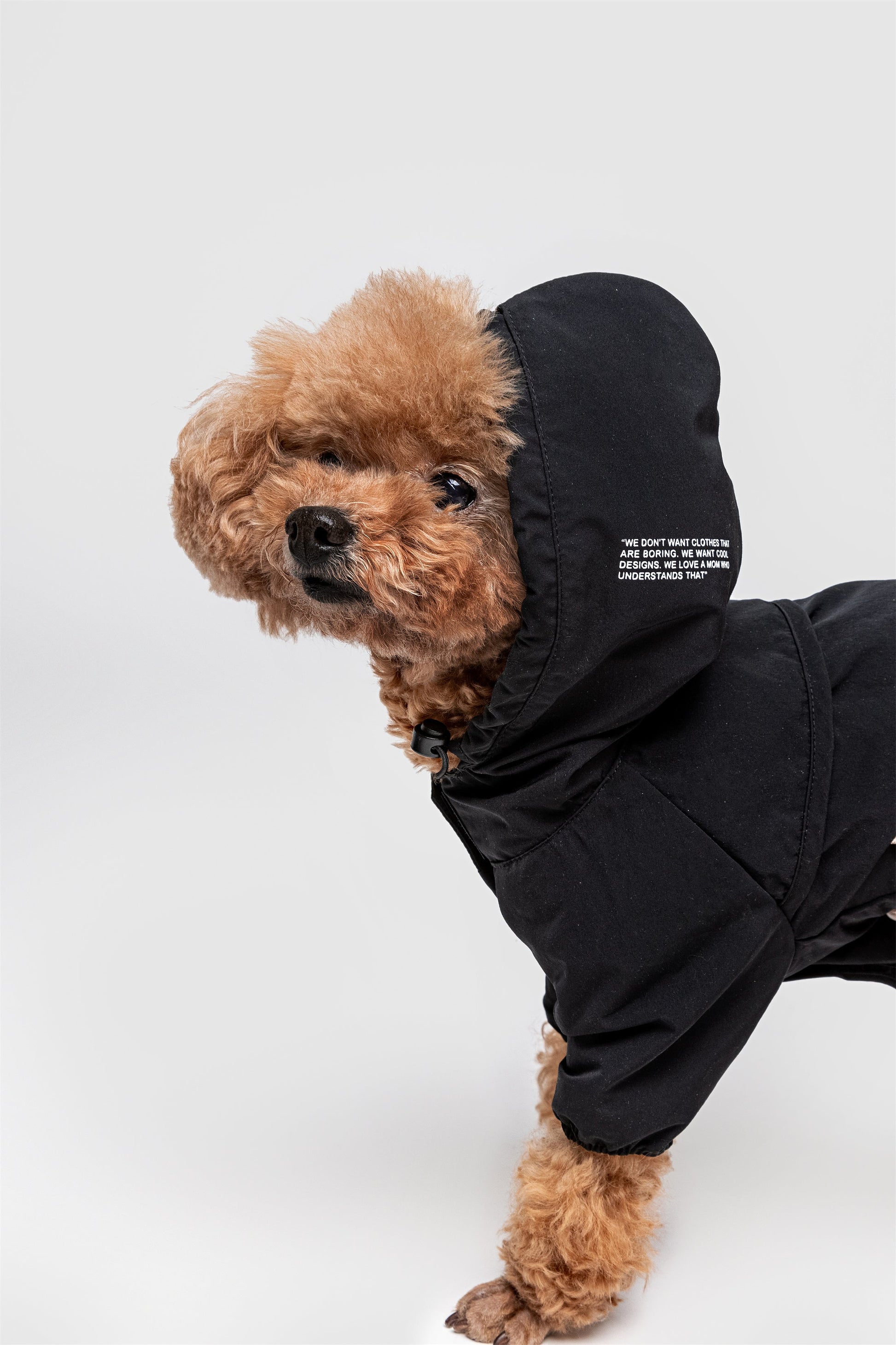 Waterproof Dog Coat with Hood and Four Leg Fit