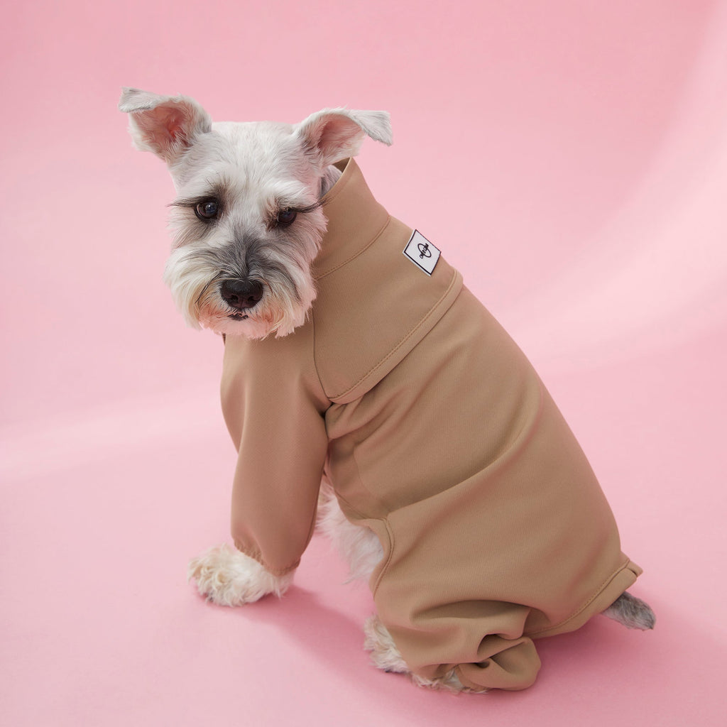 Four Leg Thin Coat with Stand Up Collar