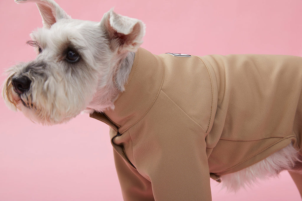 Four Leg Thin Coat with Stand Up Collar