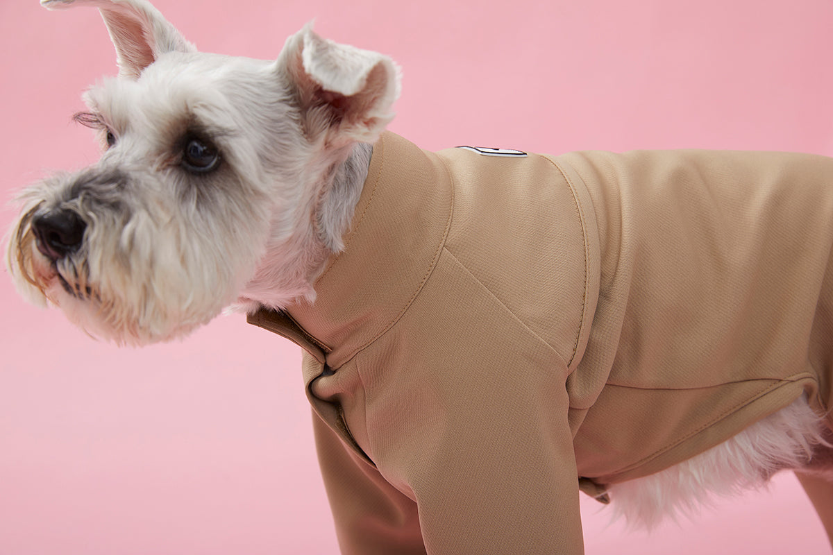 Four Leg Thin Coat with Stand Up Collar