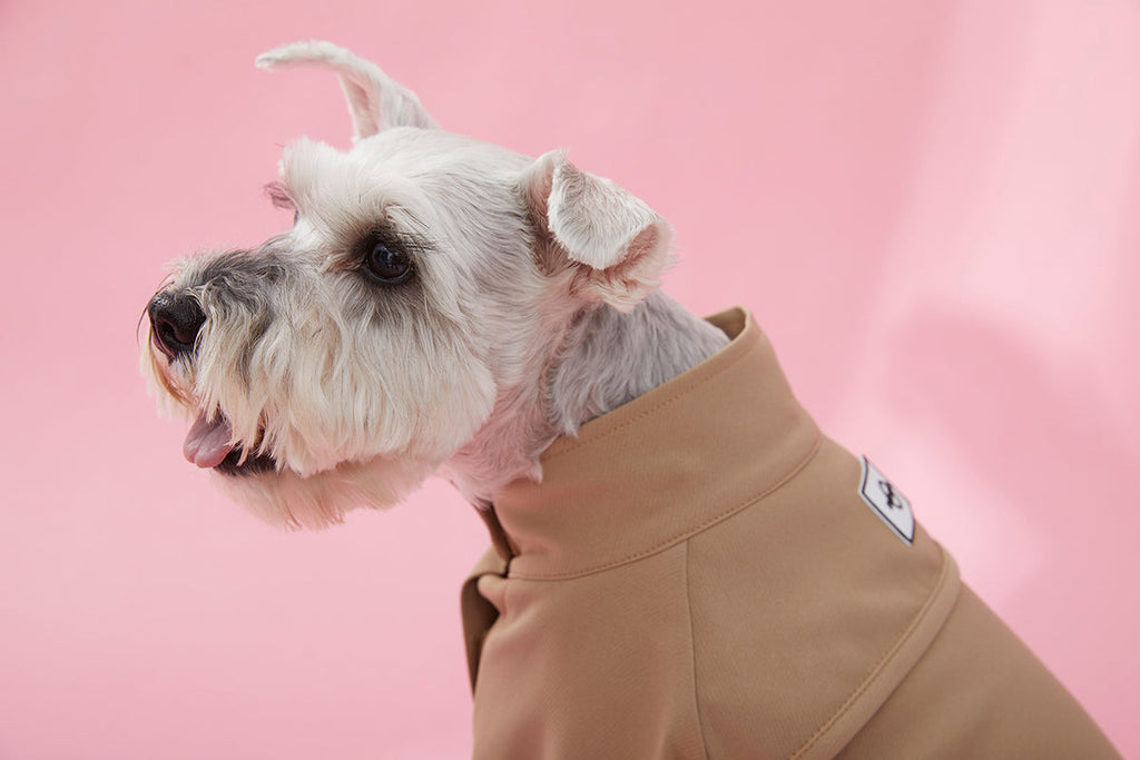 Four Leg Thin Coat with Stand Up Collar