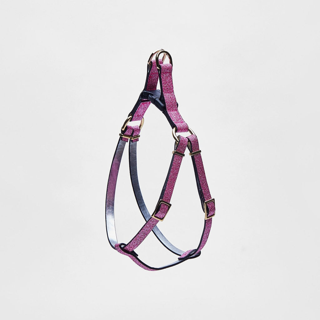 Glitter Leather Harness in Silver or Rose