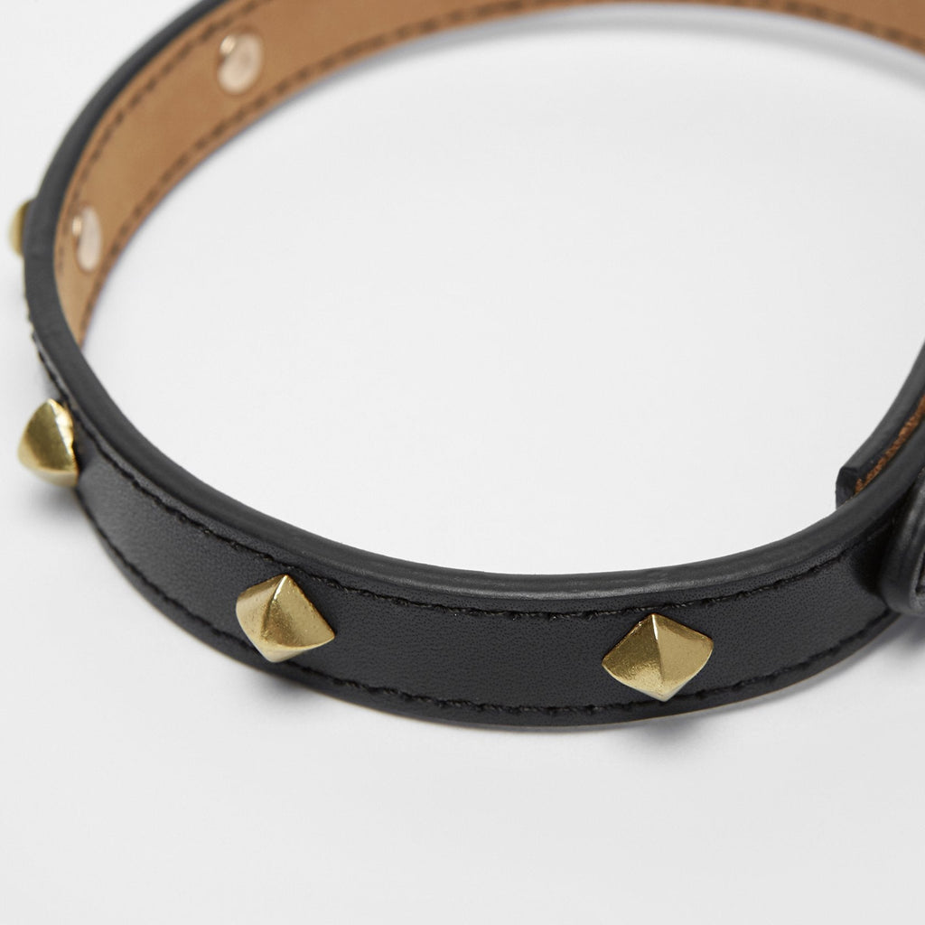 Black Leather Collar with Golden Rivets