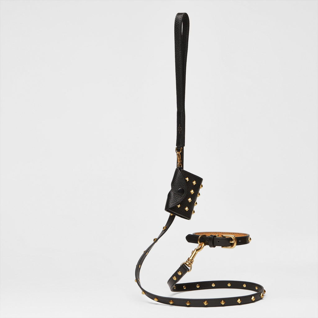 Black Leather Lead with Golden Rivets
