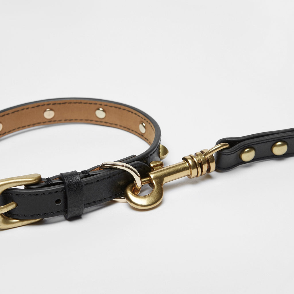 Black Leather Lead with Golden Rivets
