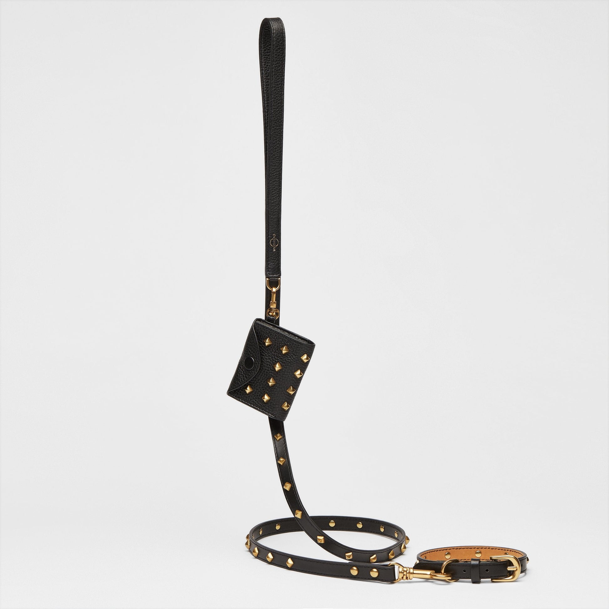 Black Leather Collar with Golden Rivets