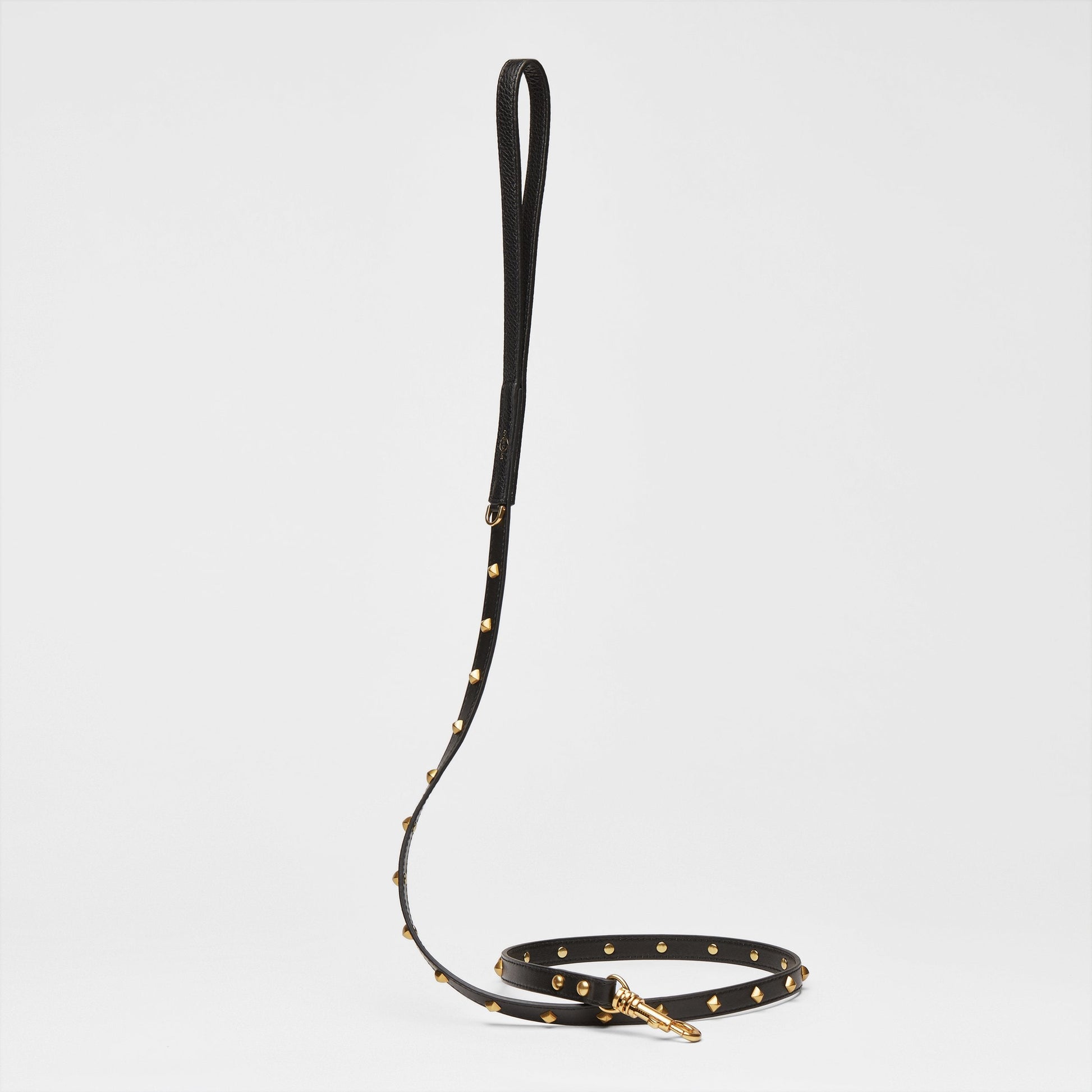 Black Leather Lead with Golden Rivets