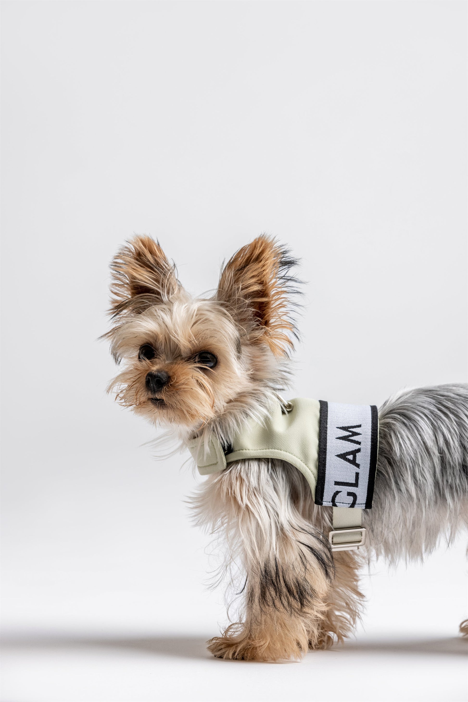 Ribbon Pastel Harness