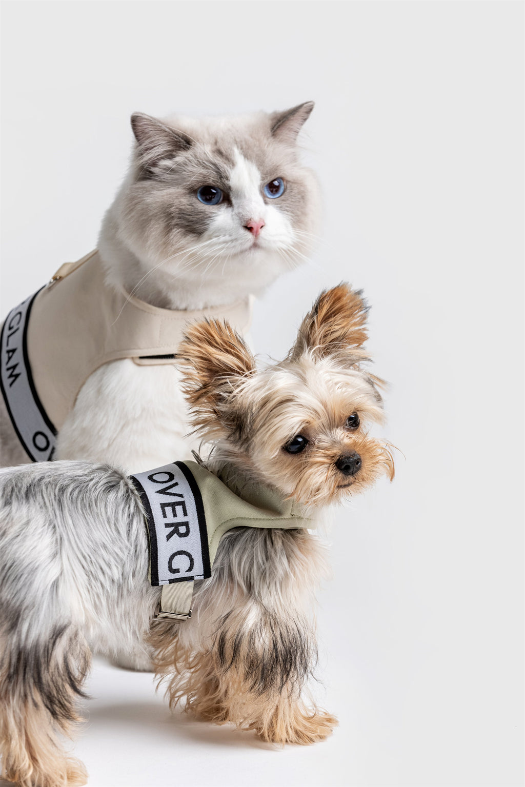 Ribbon Pastel Harness