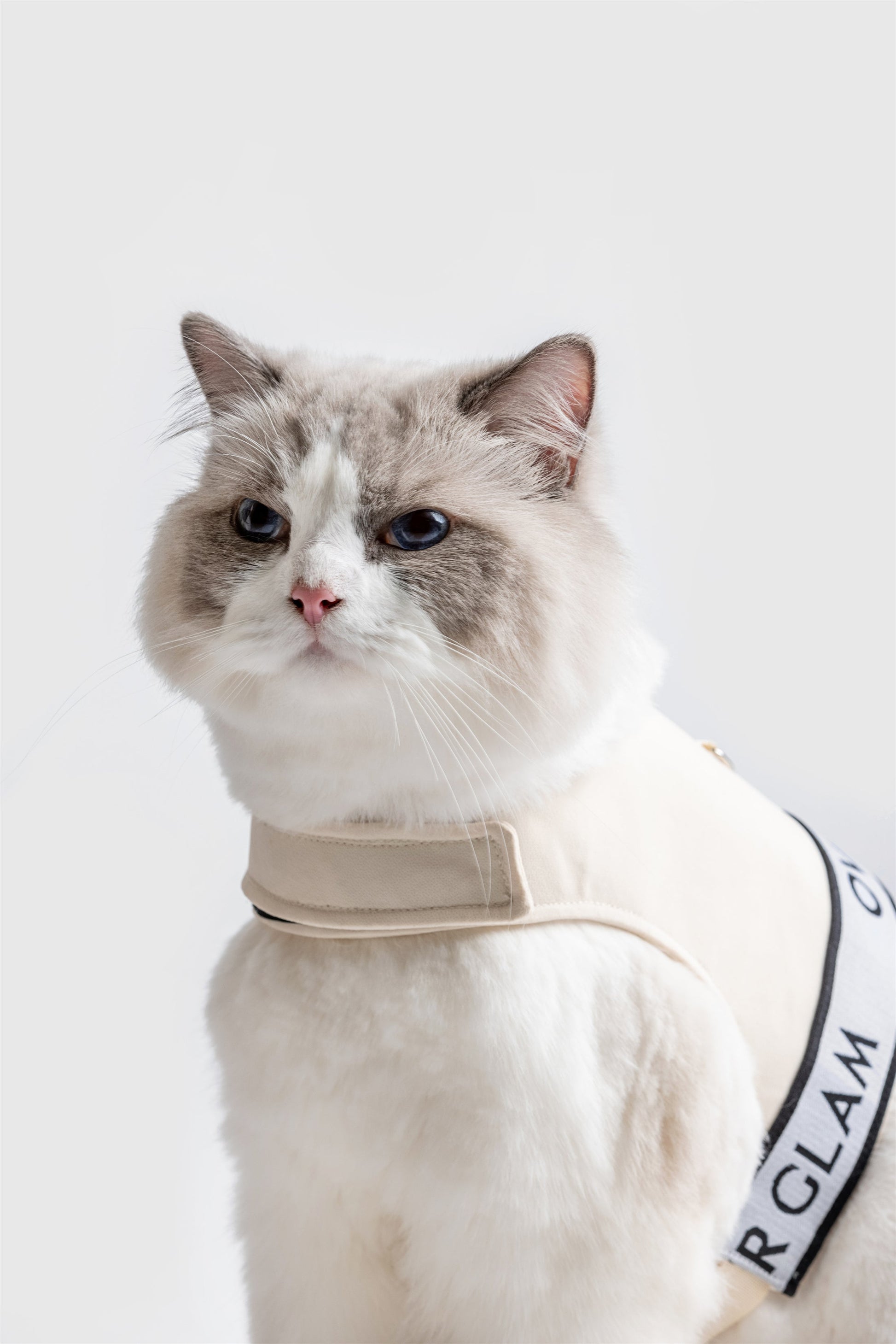 Ribbon Pastel Harness