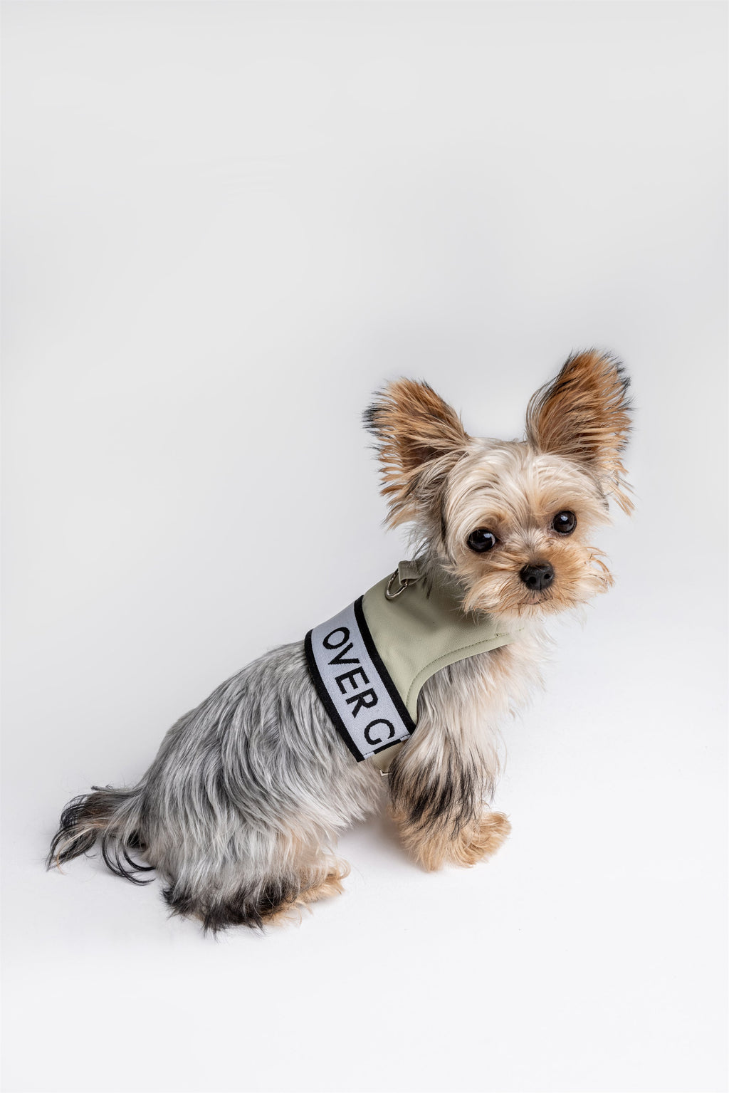 Ribbon Pastel Harness