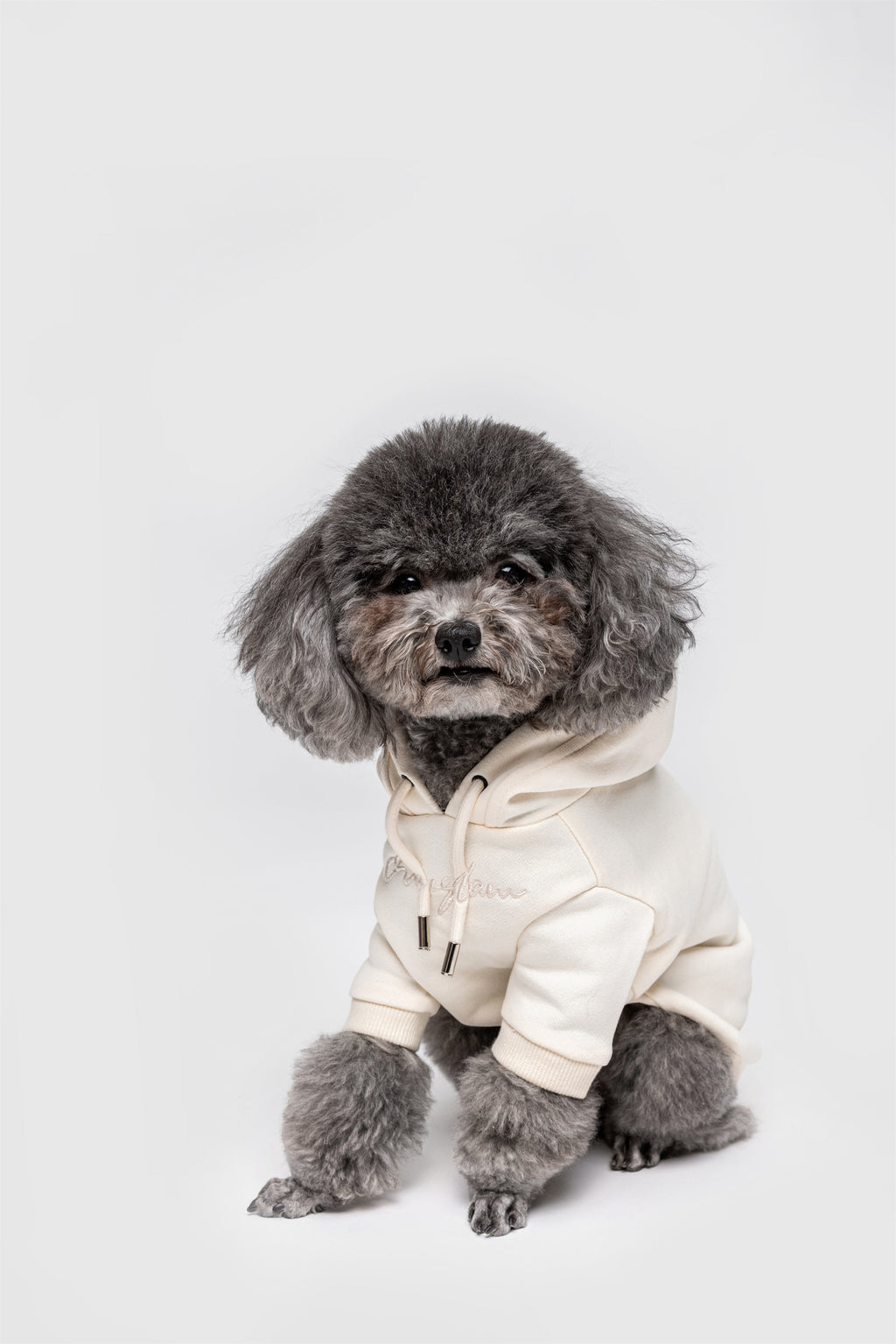 Pastel Hoodie with Glam Embroidery