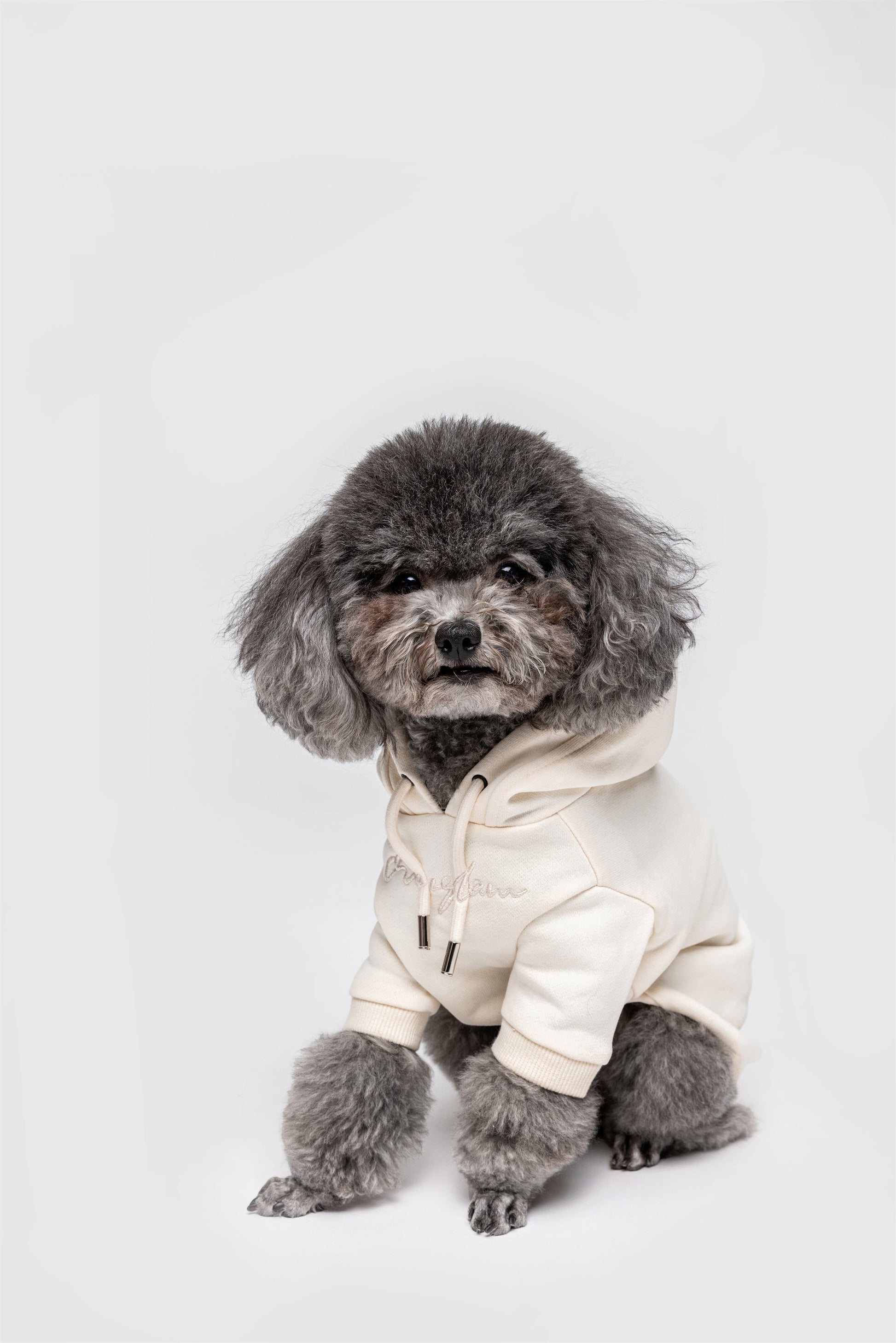 Pastel Hoodie with Glam Embroidery