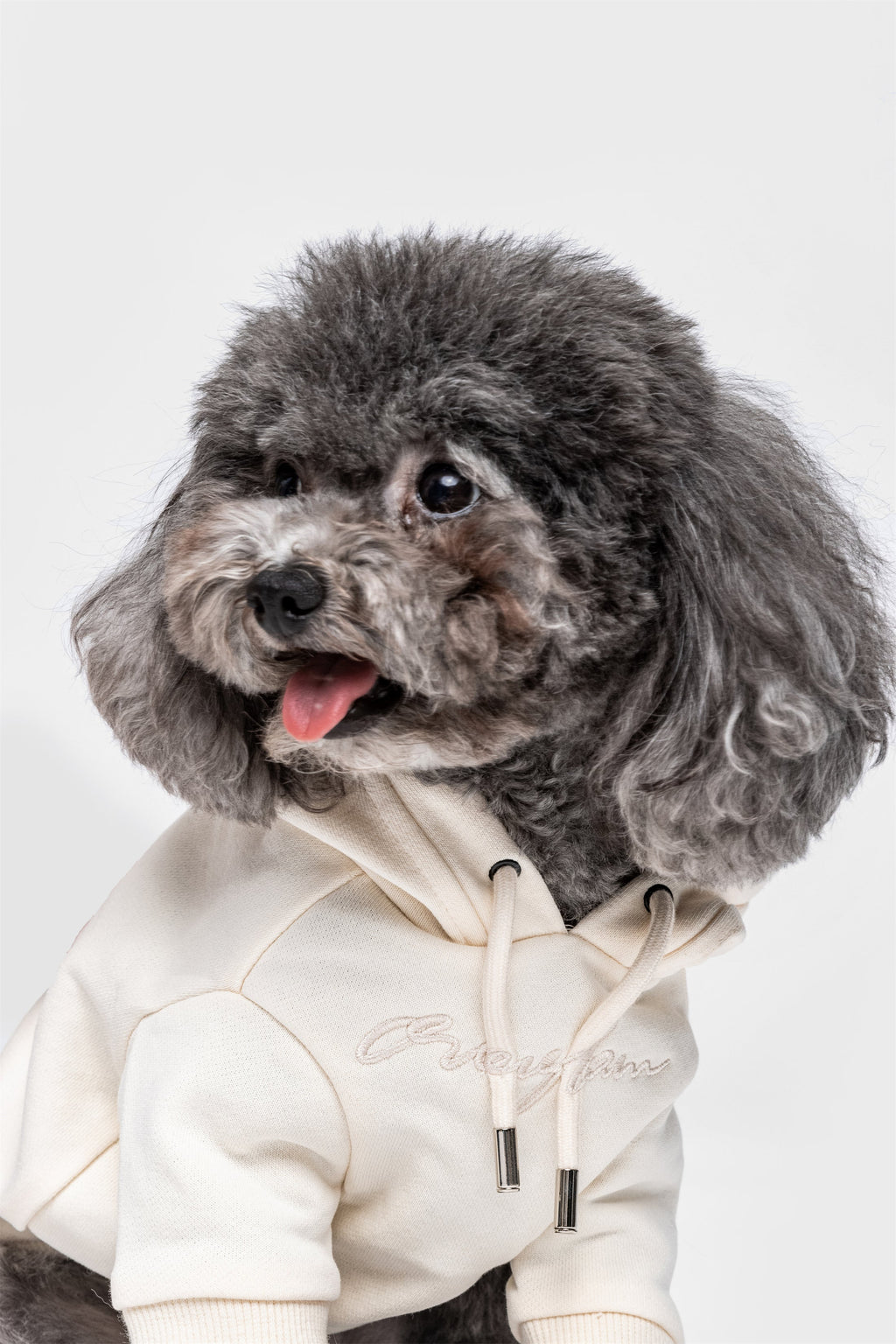 Pastel Hoodie with Glam Embroidery