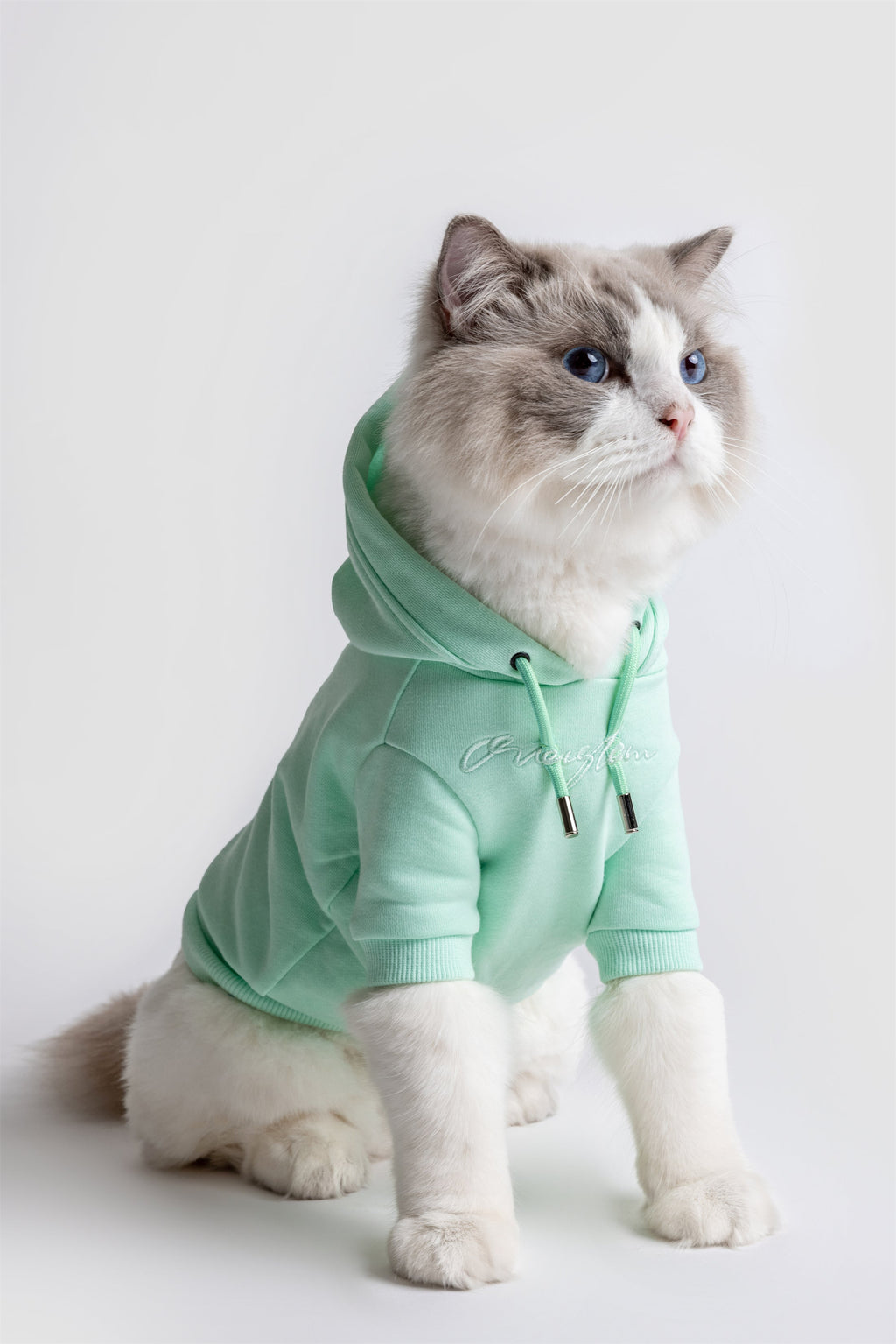 Pastel Hoodie with Glam Embroidery