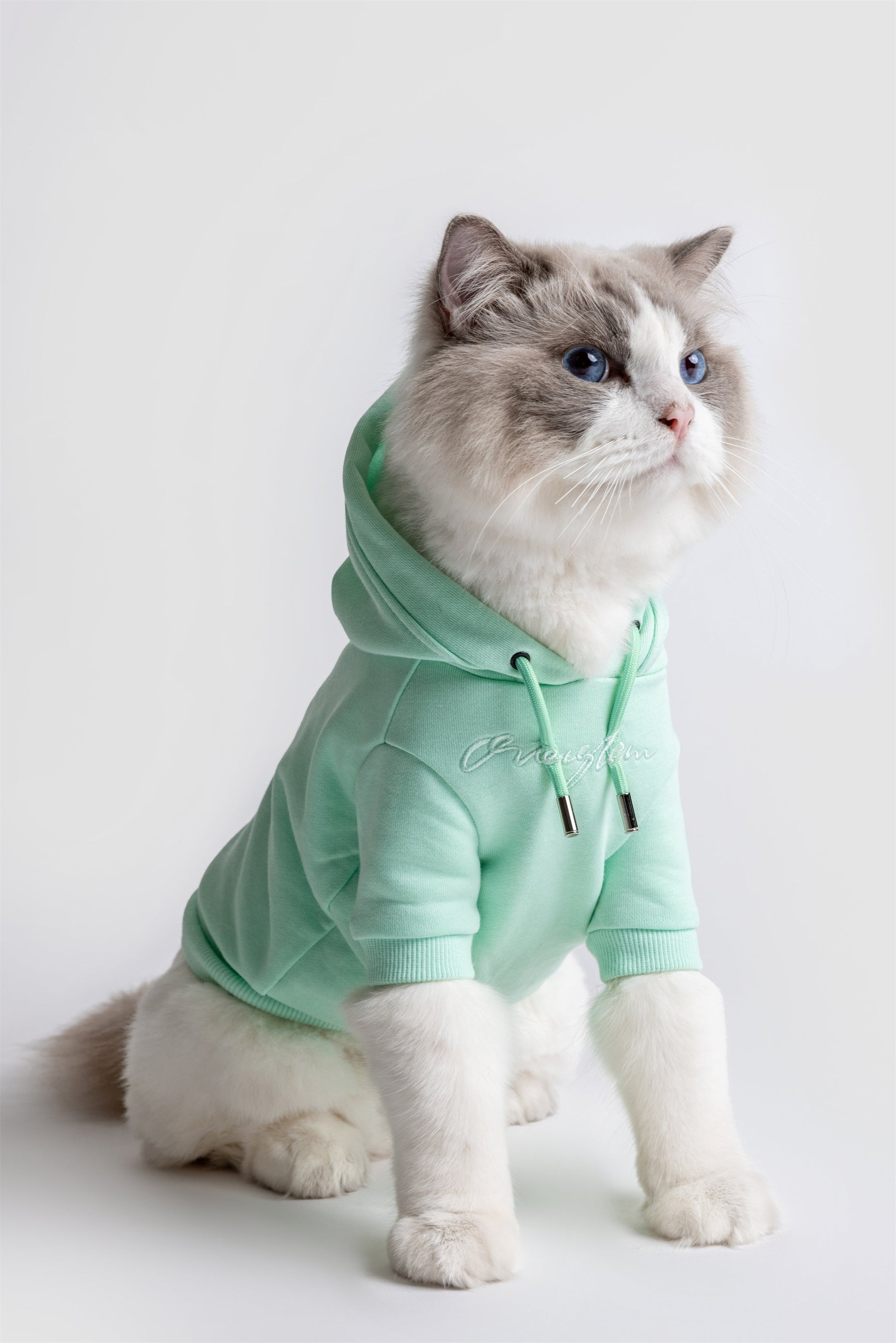 Pastel Hoodie with Glam Embroidery