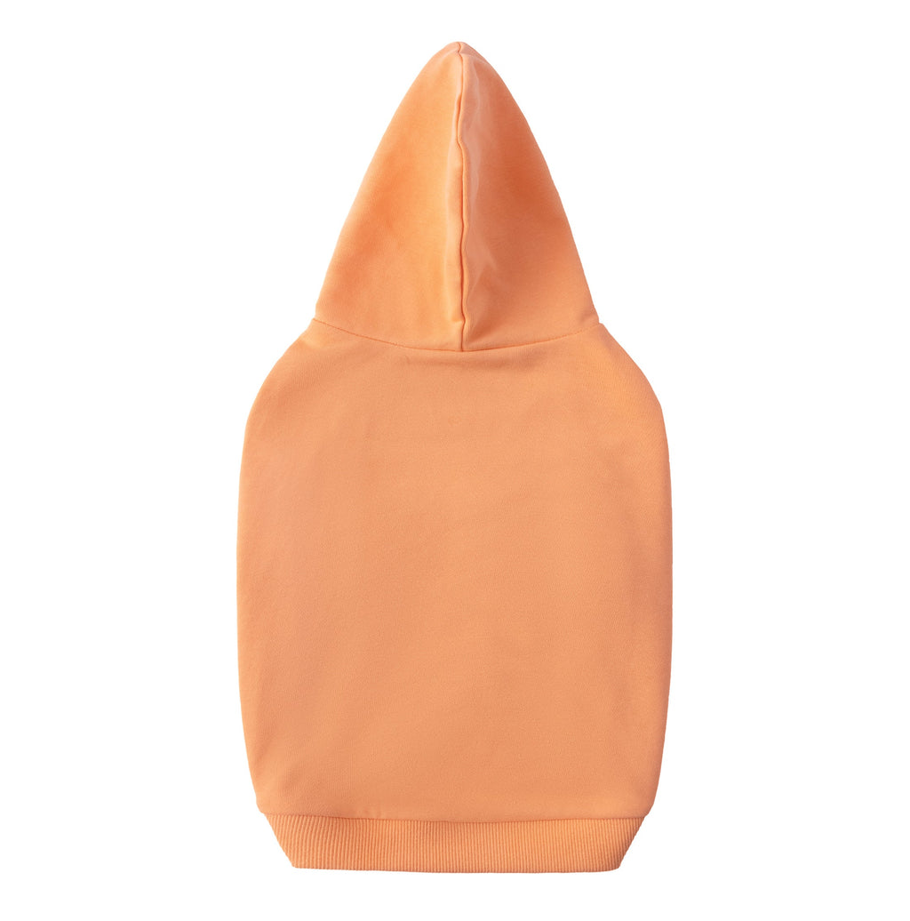 Pastel Hoodie with Glam Embroidery