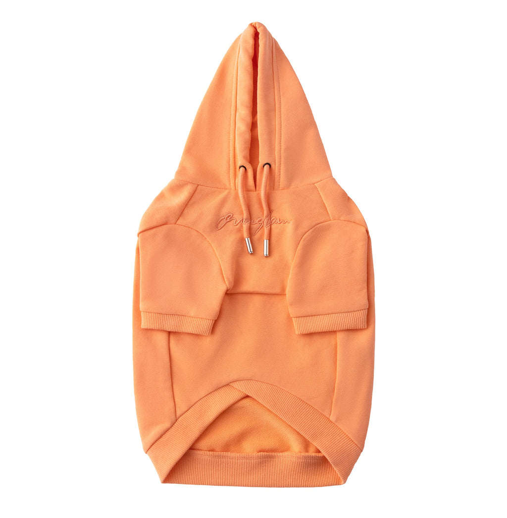 Pastel Hoodie with Glam Embroidery