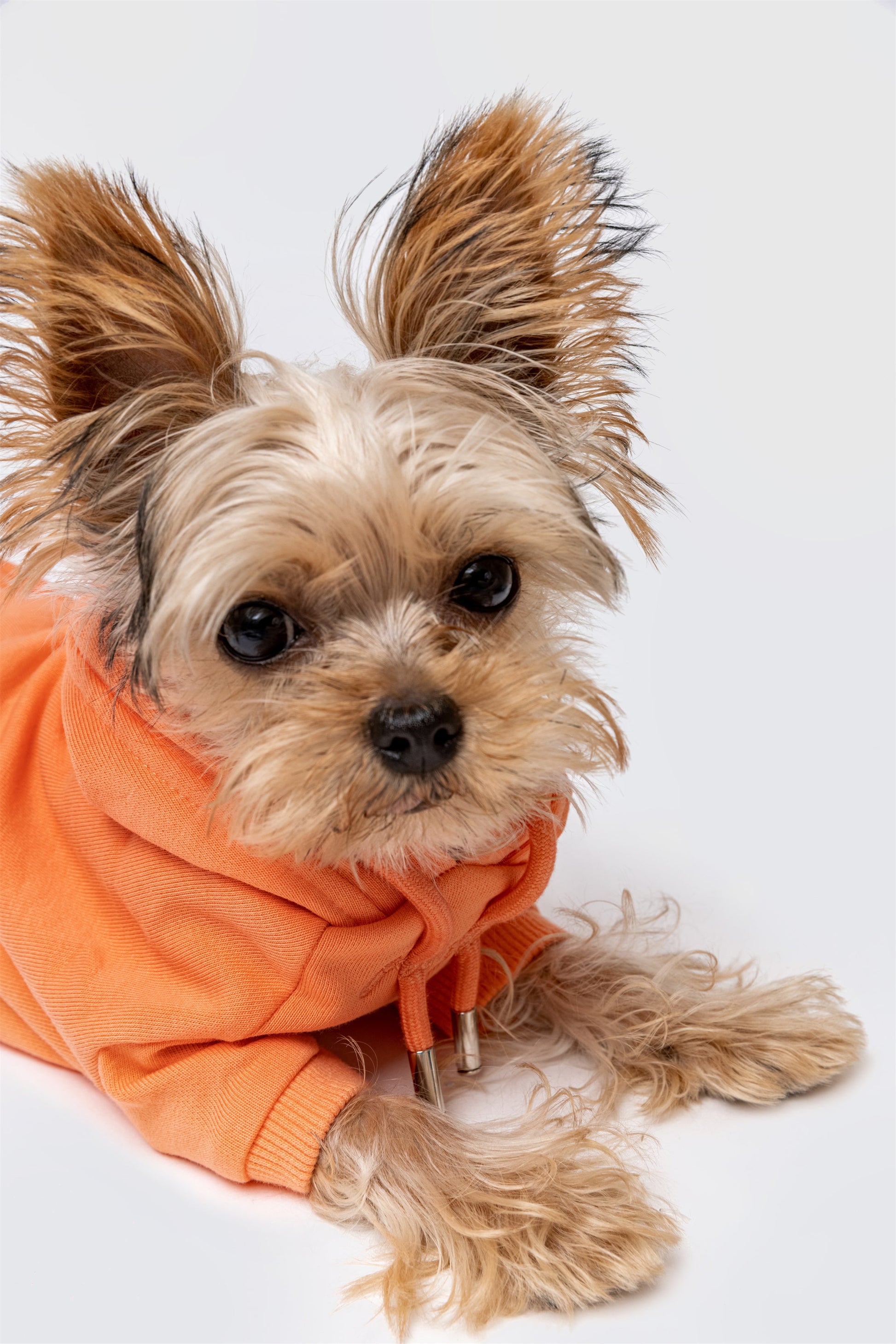 Pastel Hoodie with Glam Embroidery