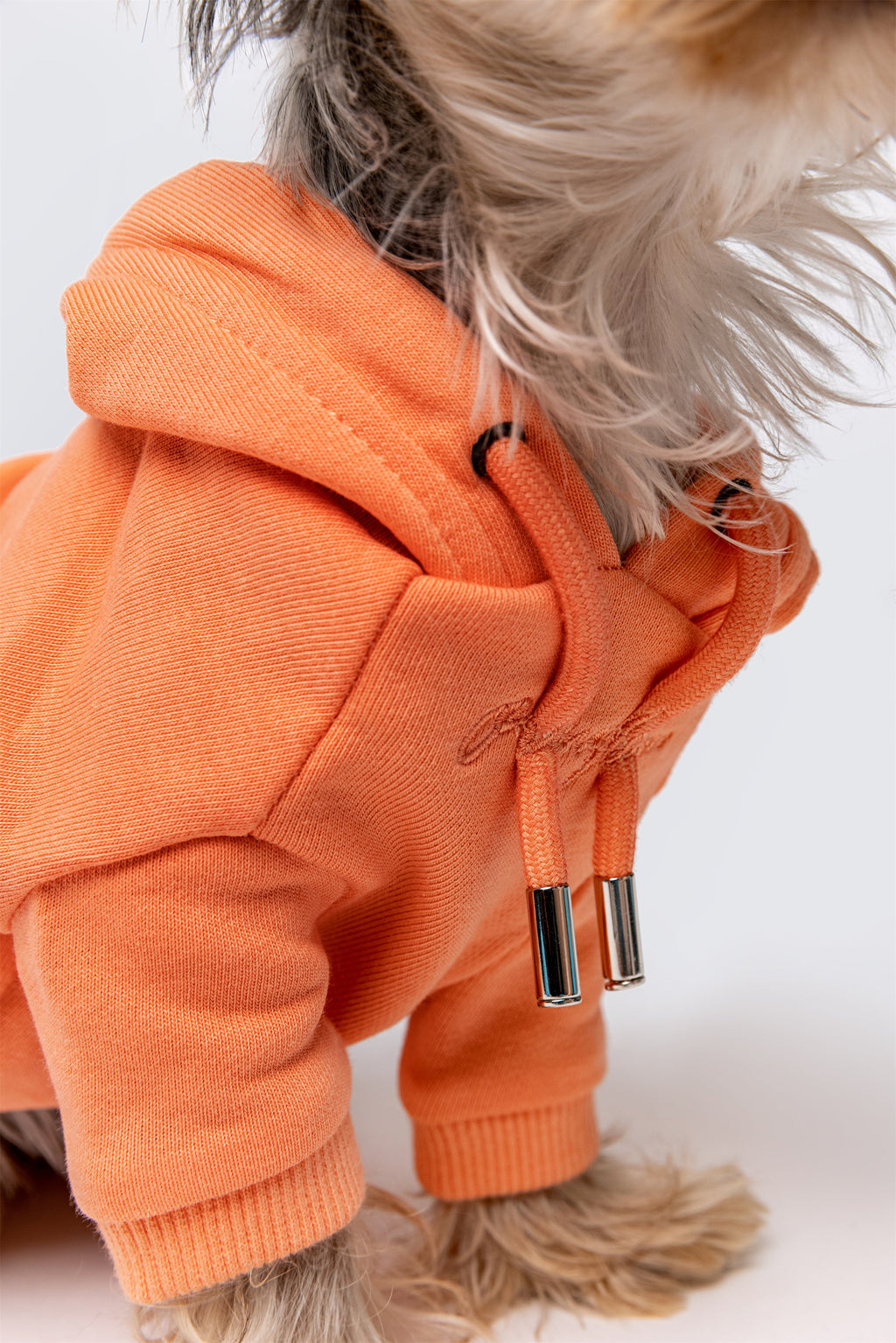 Pastel Hoodie with Glam Embroidery