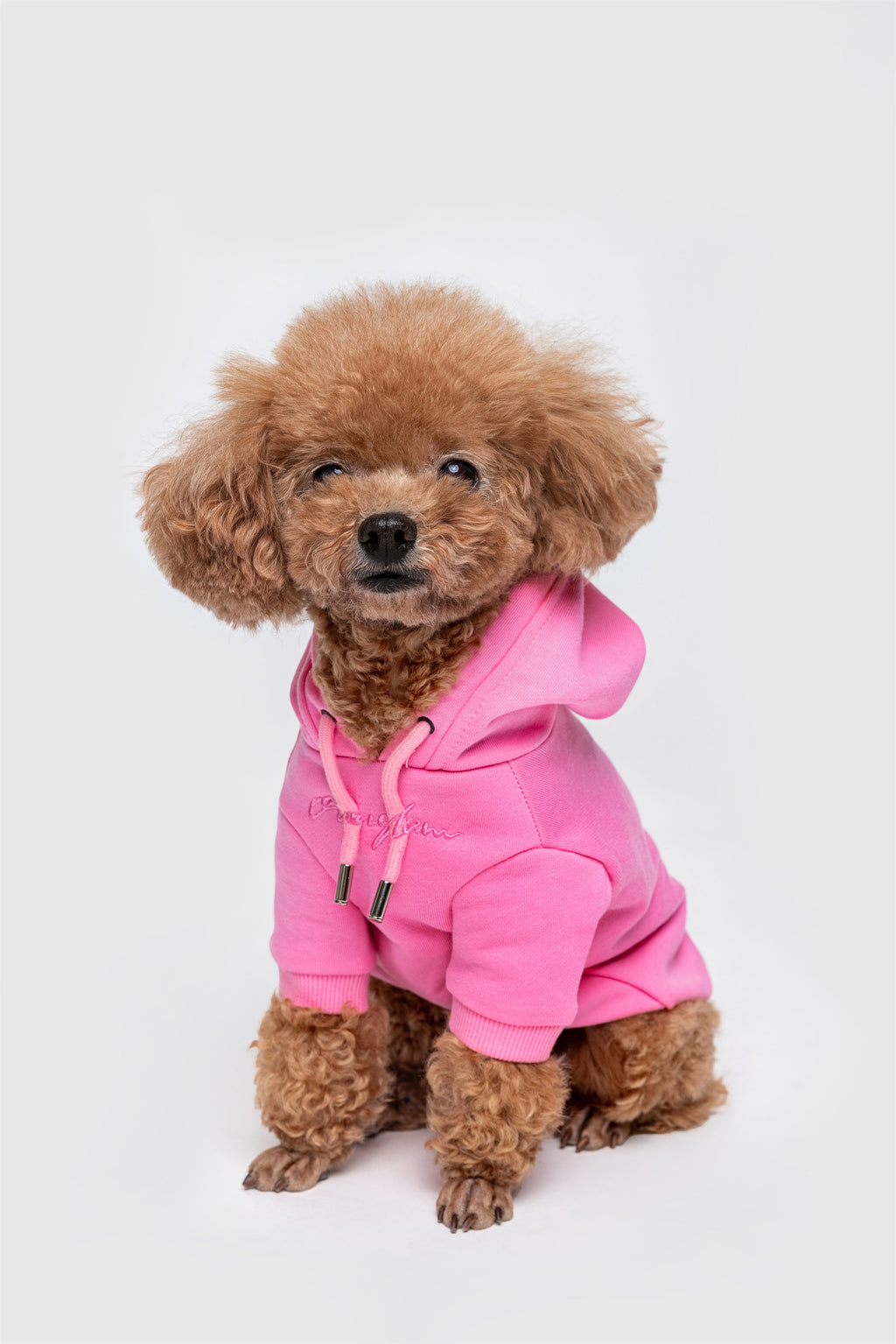 Pastel Hoodie with Glam Embroidery