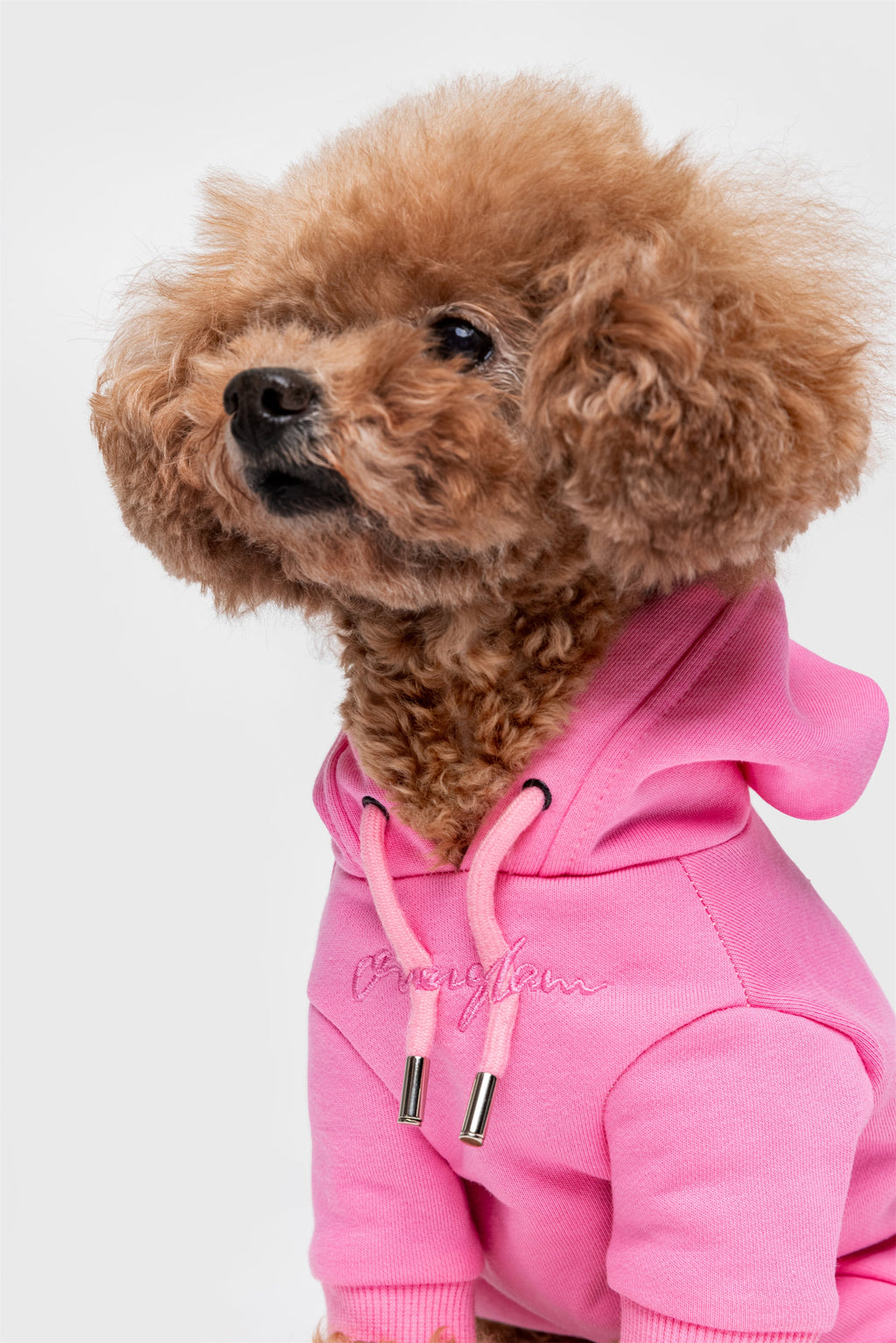 Pastel Hoodie with Glam Embroidery