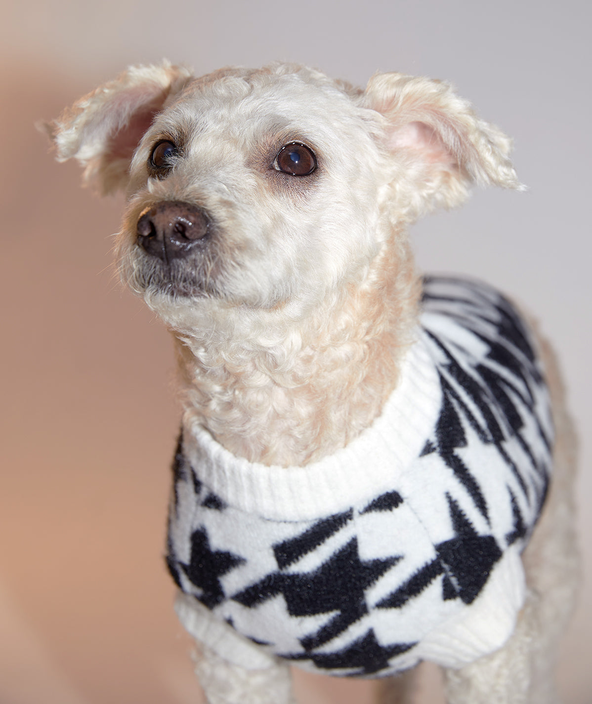 Houndstooth Wool Blend Jumper