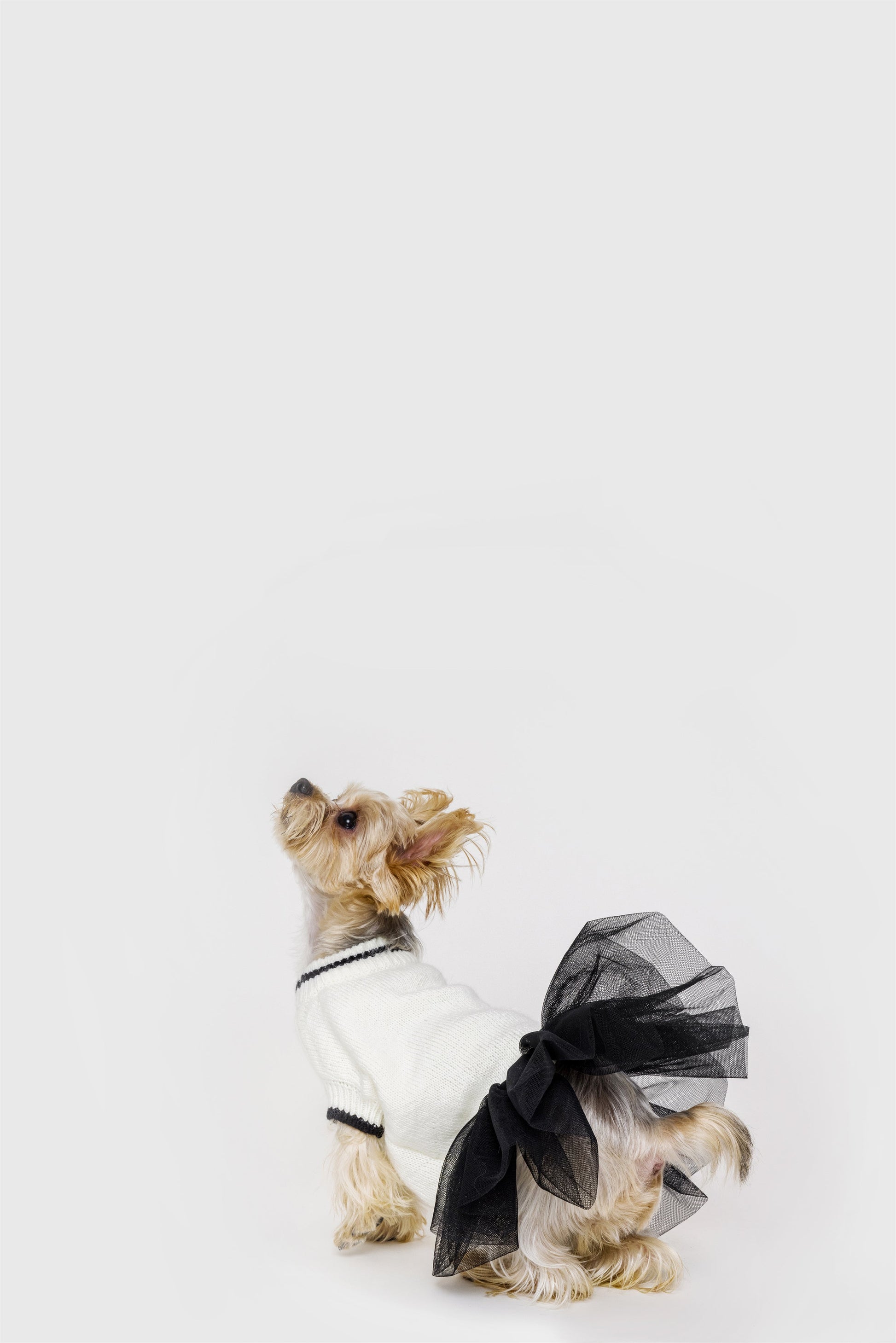 Knit Jumper with Attached Skirt