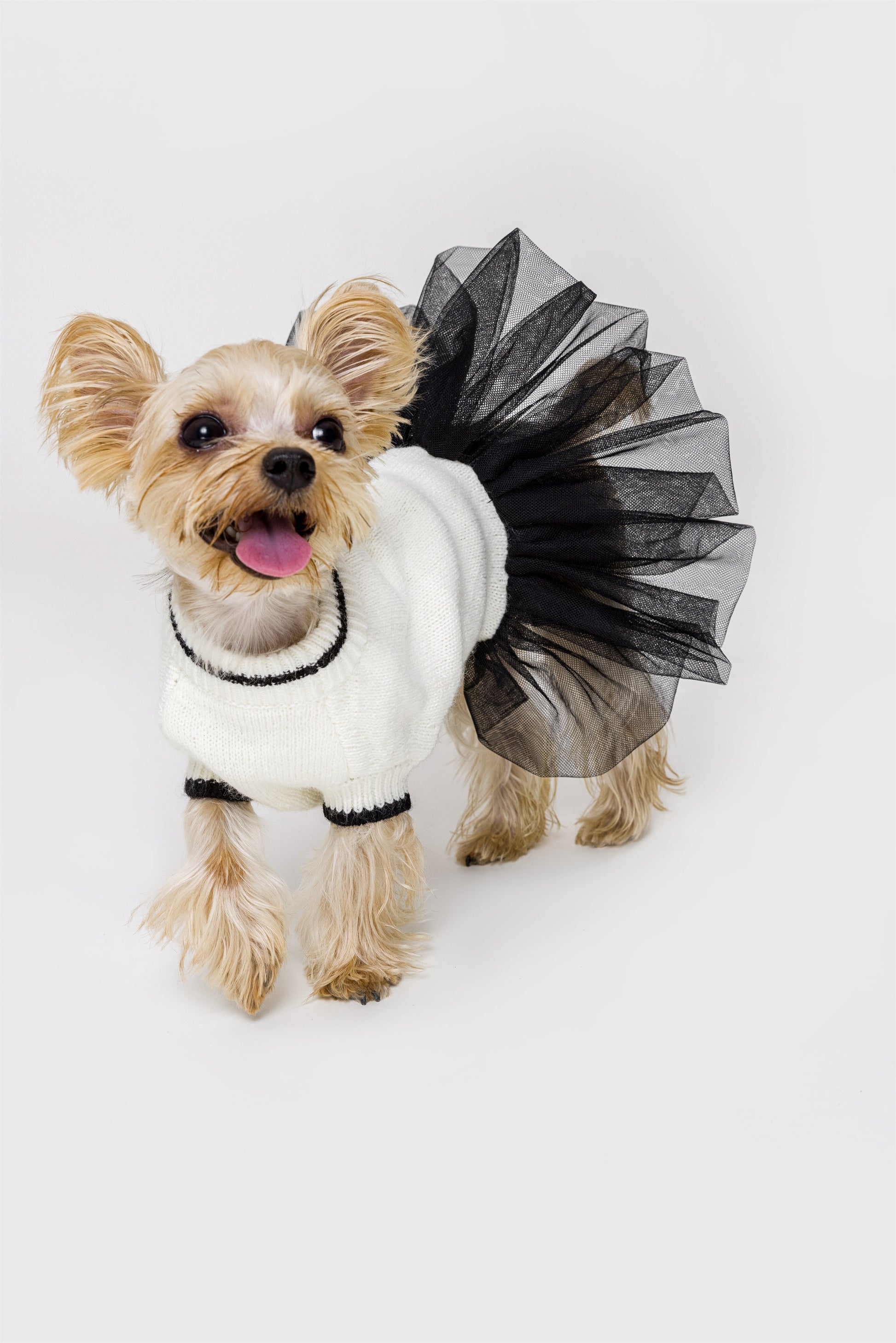 Knit Jumper with Attached Skirt