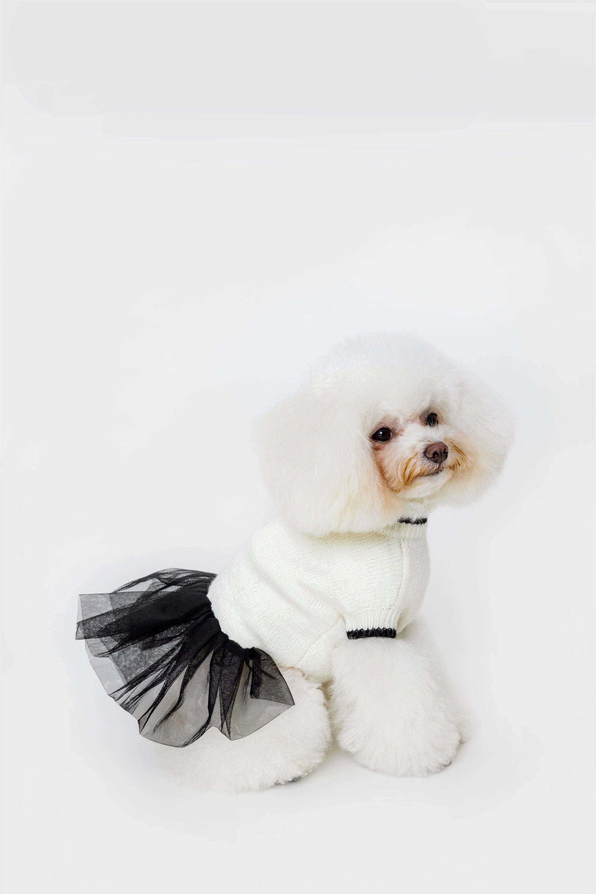 Knit Jumper with Attached Skirt