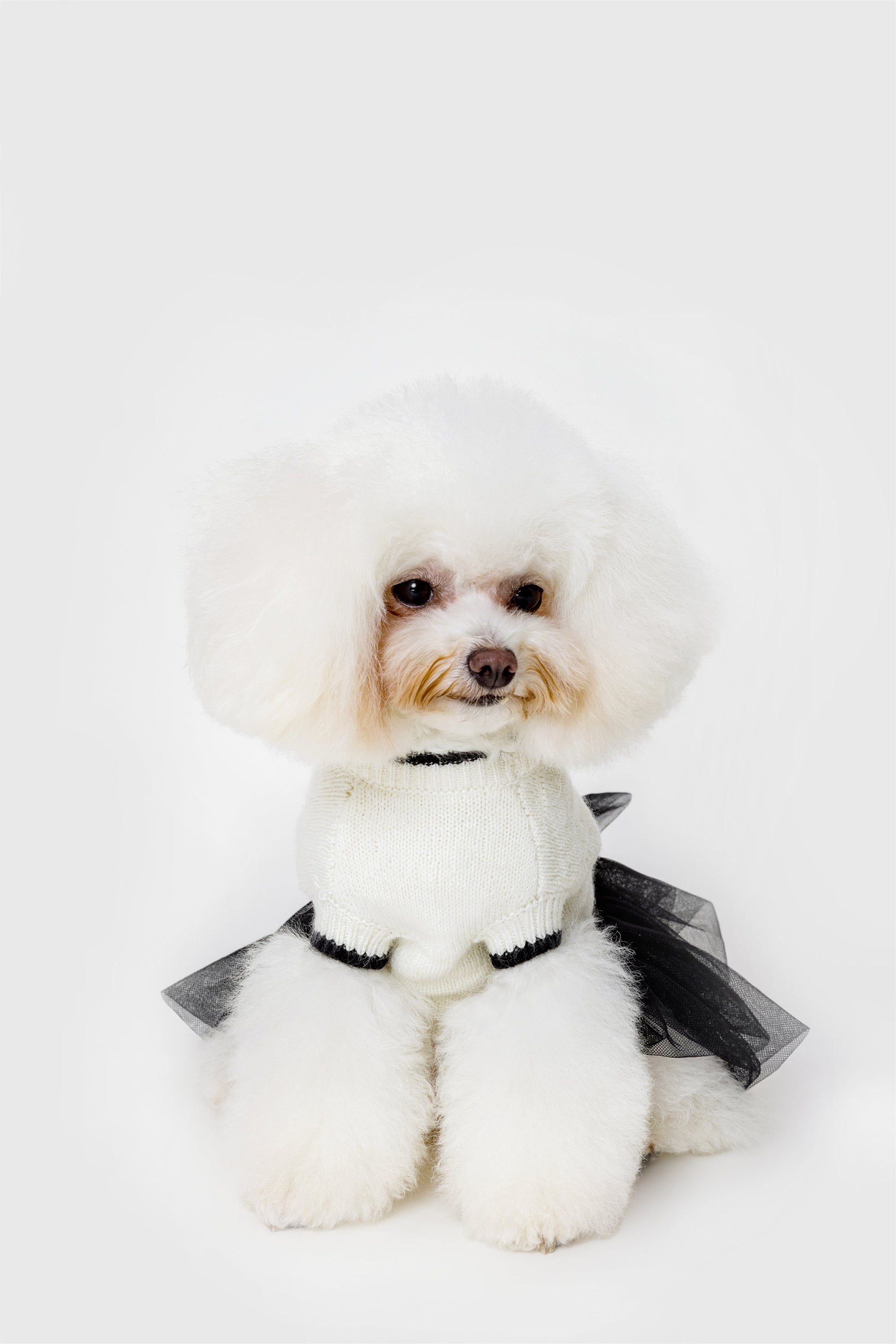 Knit Jumper with Attached Skirt