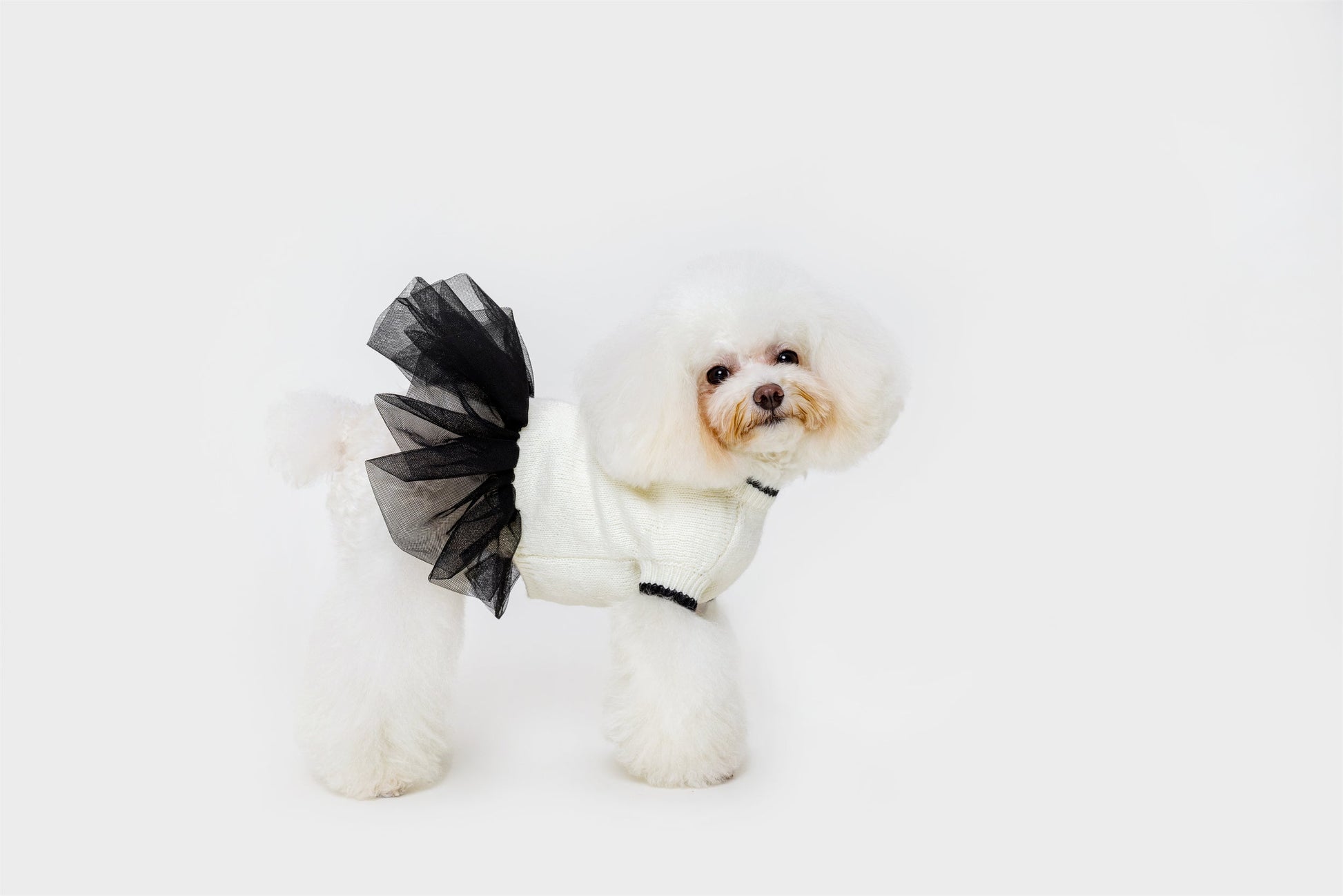 Knit Jumper with Attached Skirt