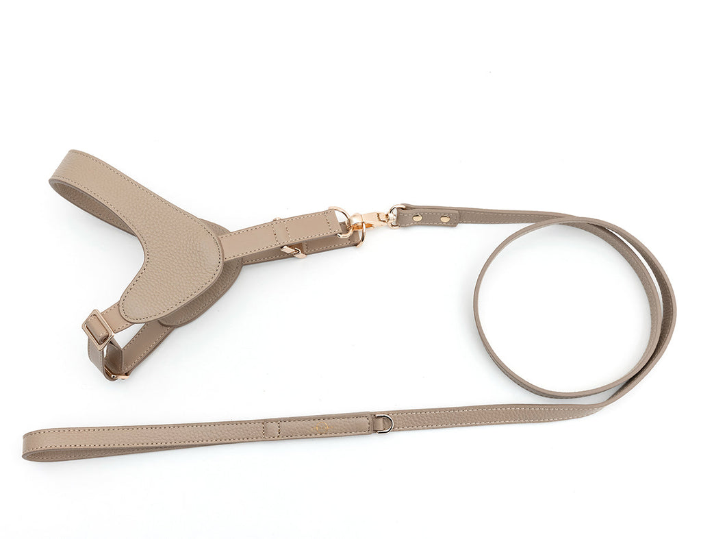 Leather Harness in Mint, Brown and Black