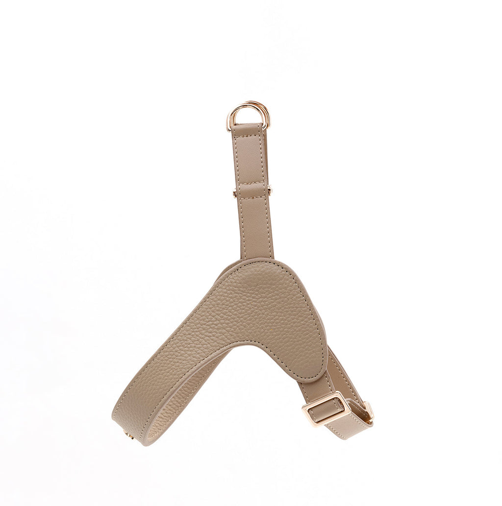 Leather Harness Set with Lead and Pocket