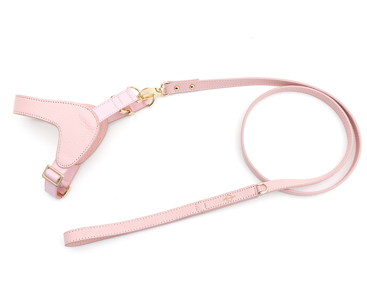 Leather Harness Set with Lead and Pocket