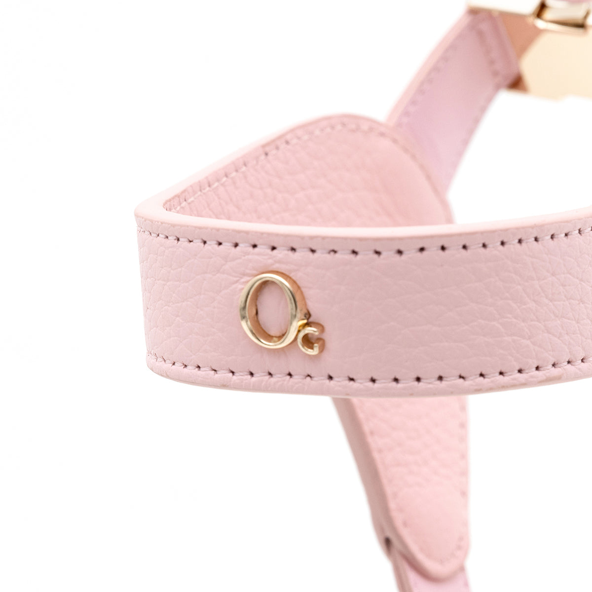 Leather Harness Set with Lead and Pocket