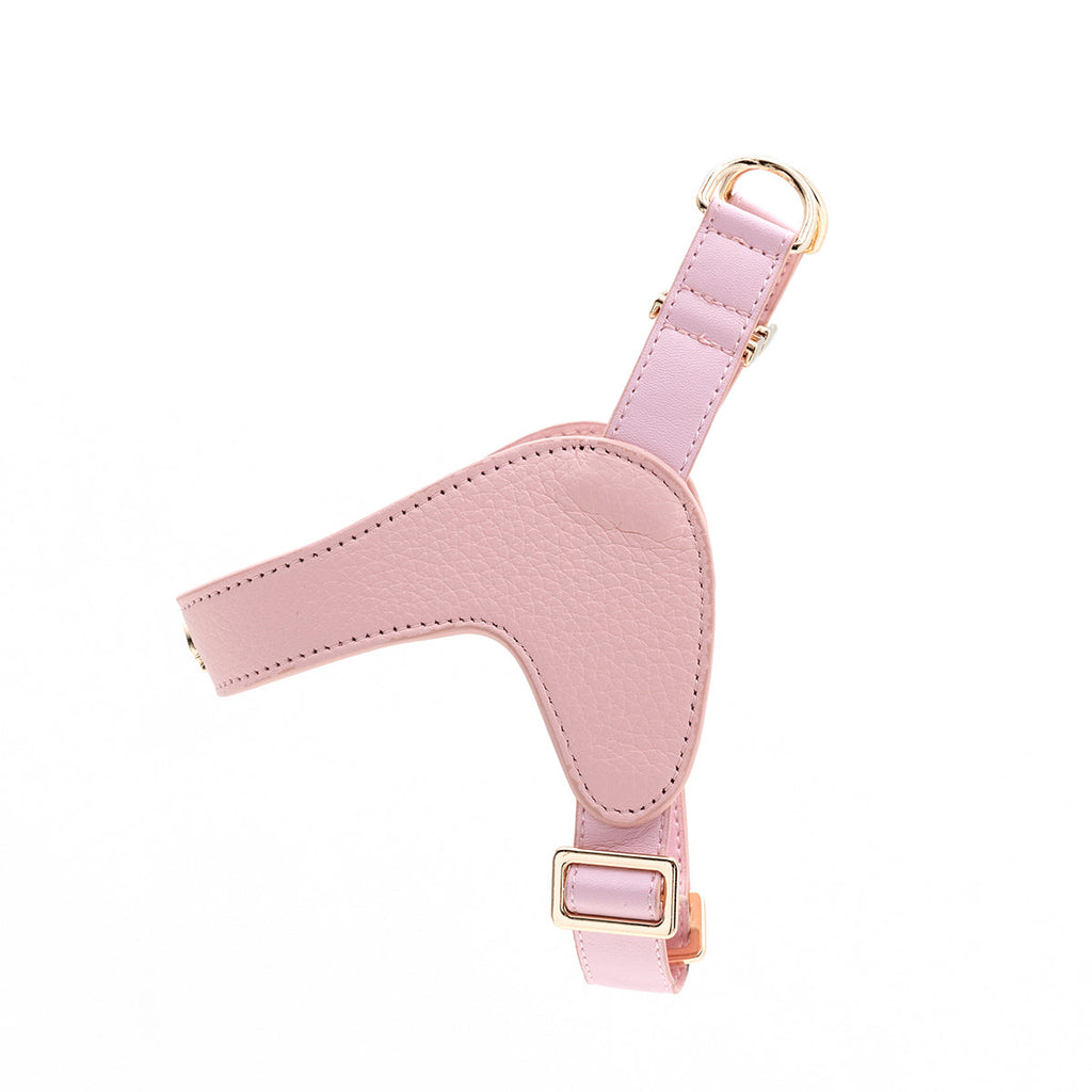 Leather Harness in Mint, Brown and Black