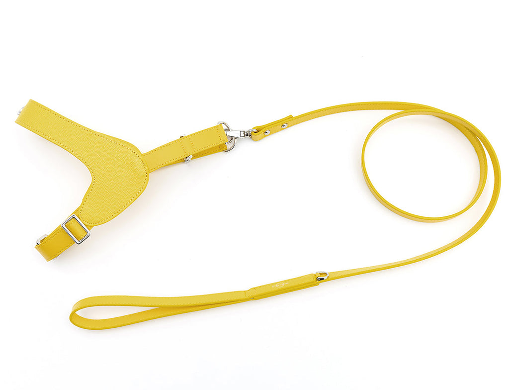 Leather Harness Set with Lead and Pocket